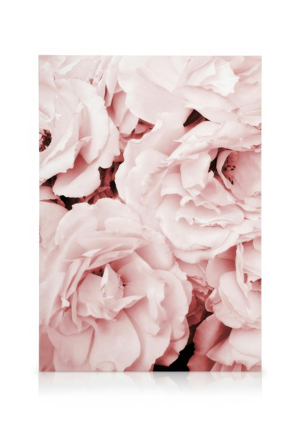 Lienzo de rosas rosadas suaves con centros oscuros, ideal para decoración floral de pared.