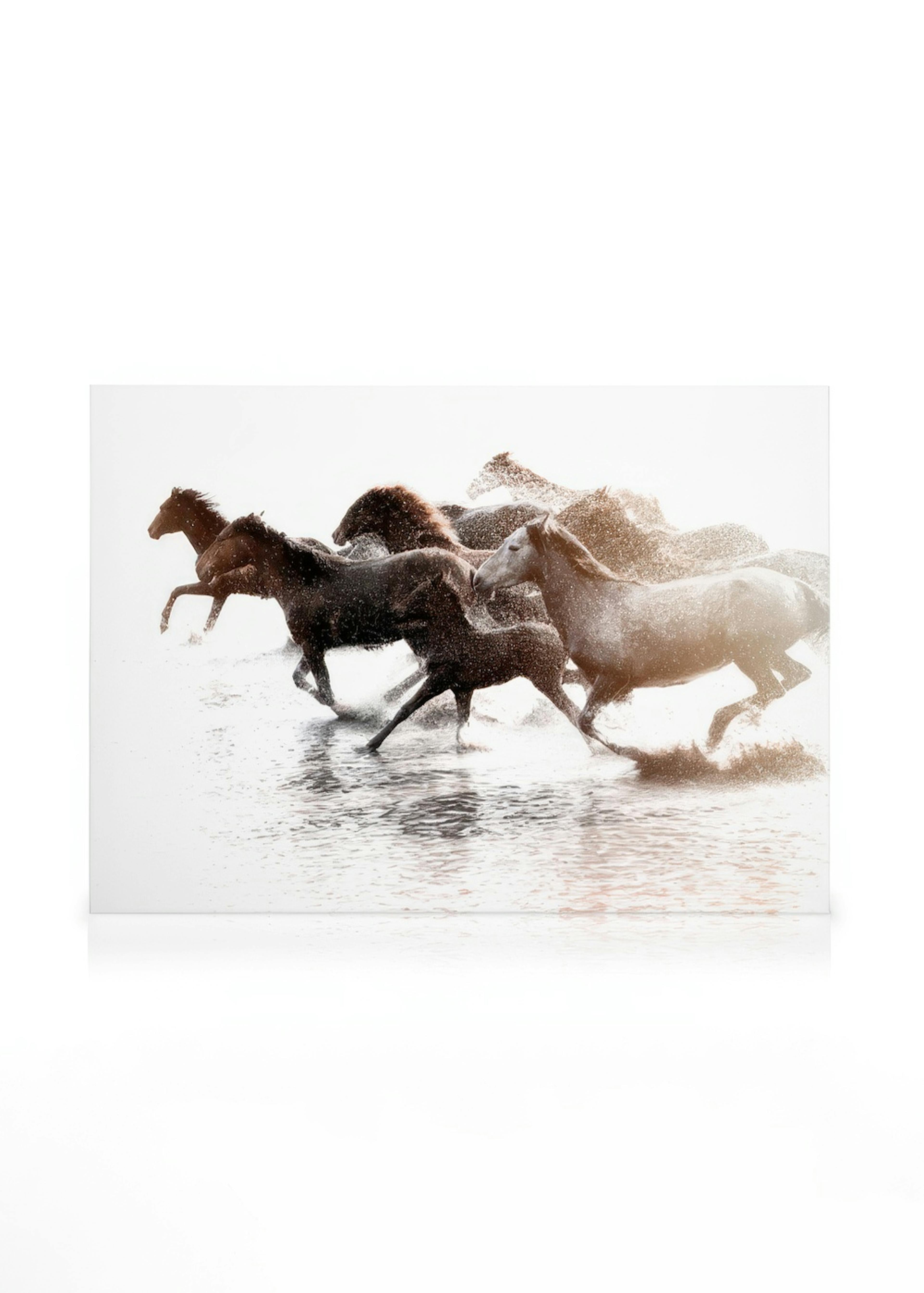 Running Horses Kanvaasi 0