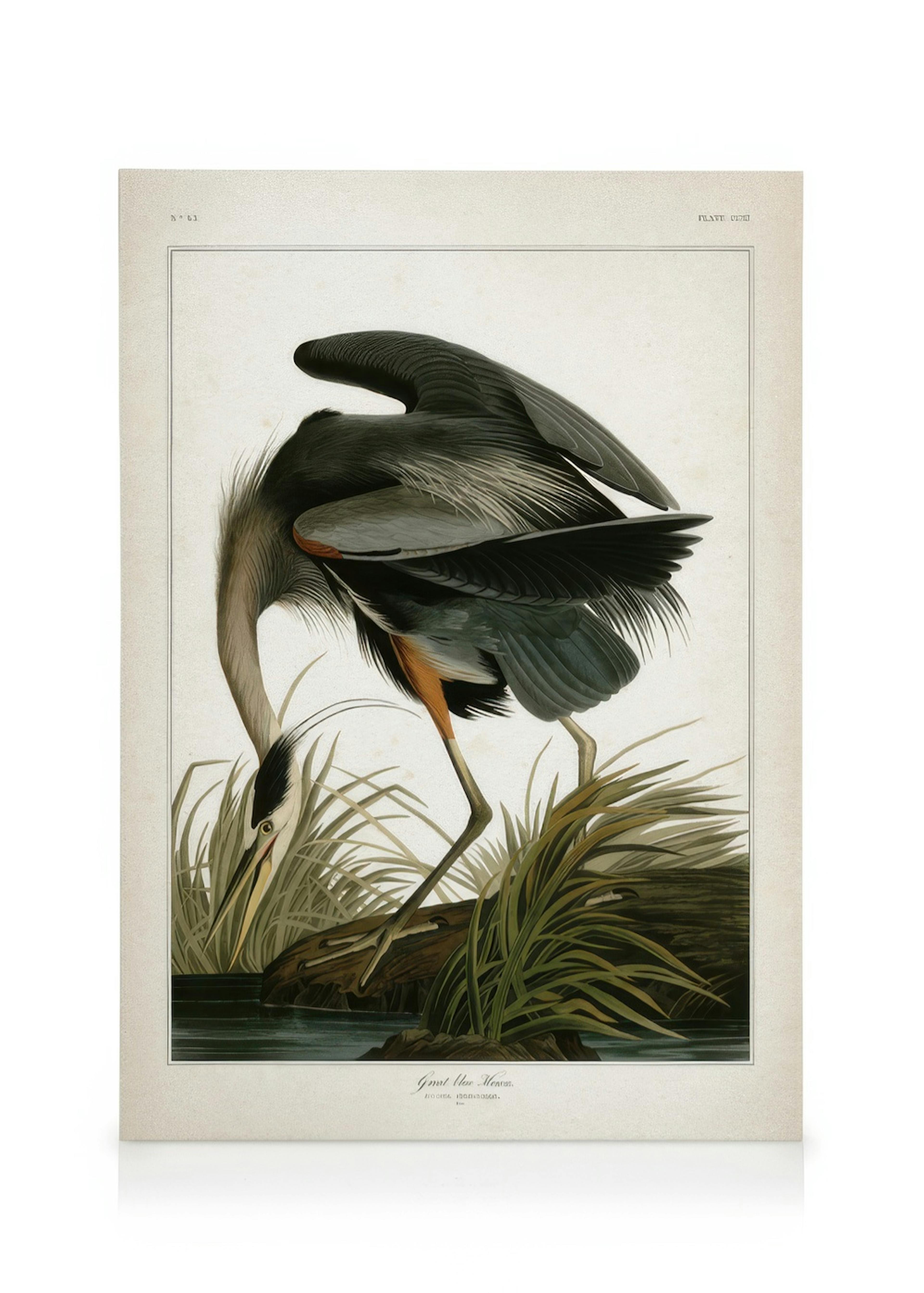 Great Blue Heron Leinwandbild 0