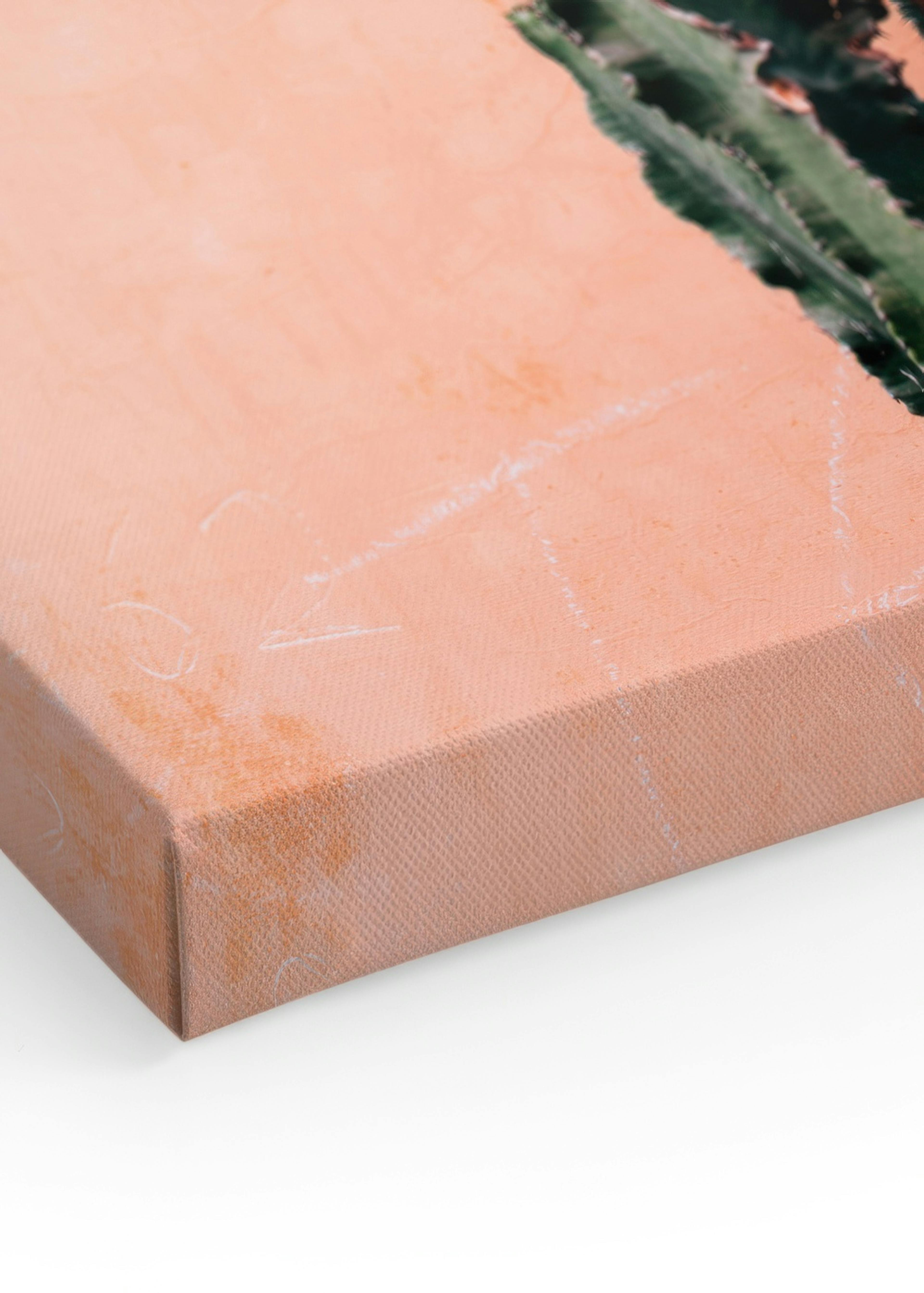 Orange Cactus Wall Toile