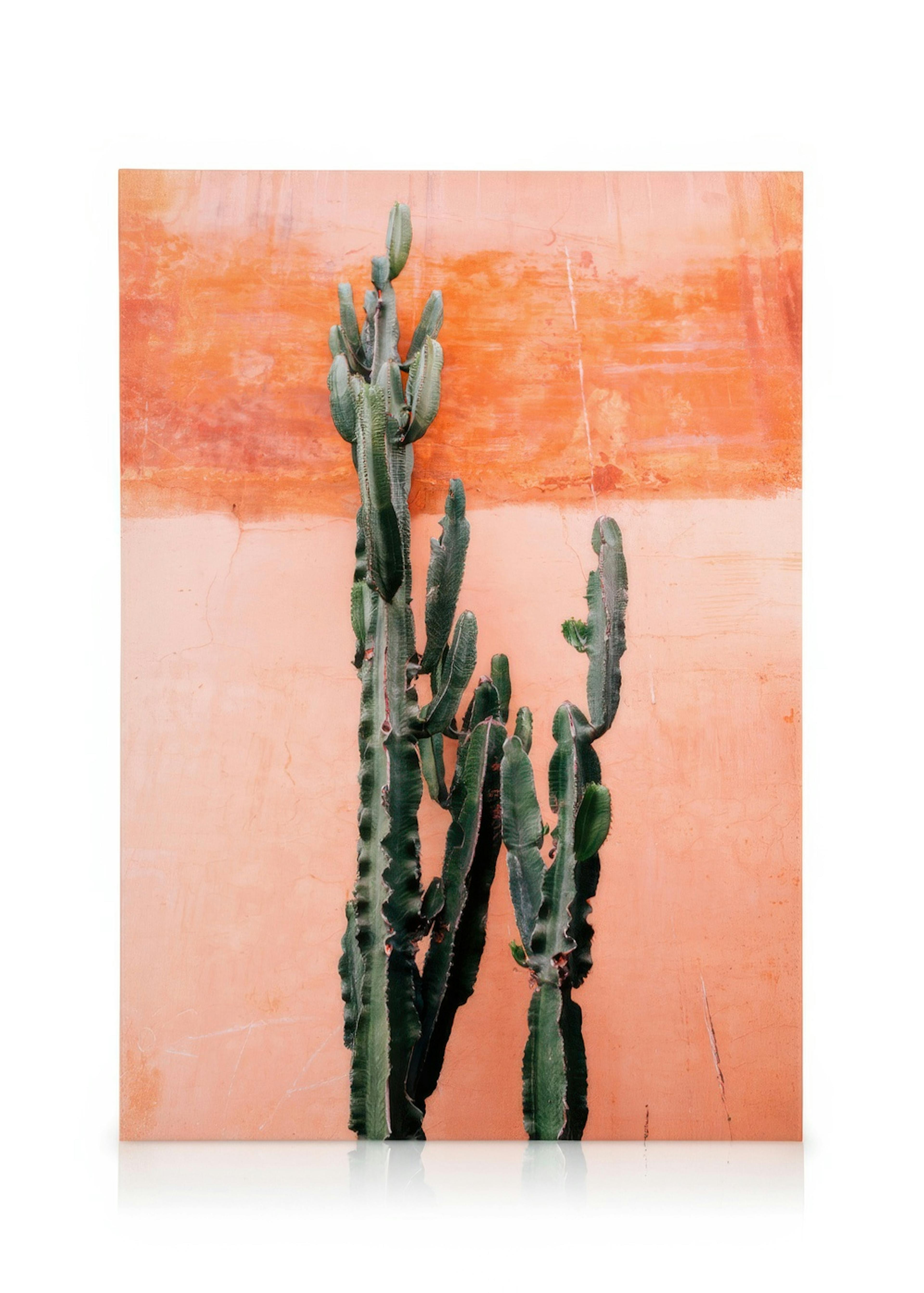 Orange Cactus Wall Leinwandbild 0