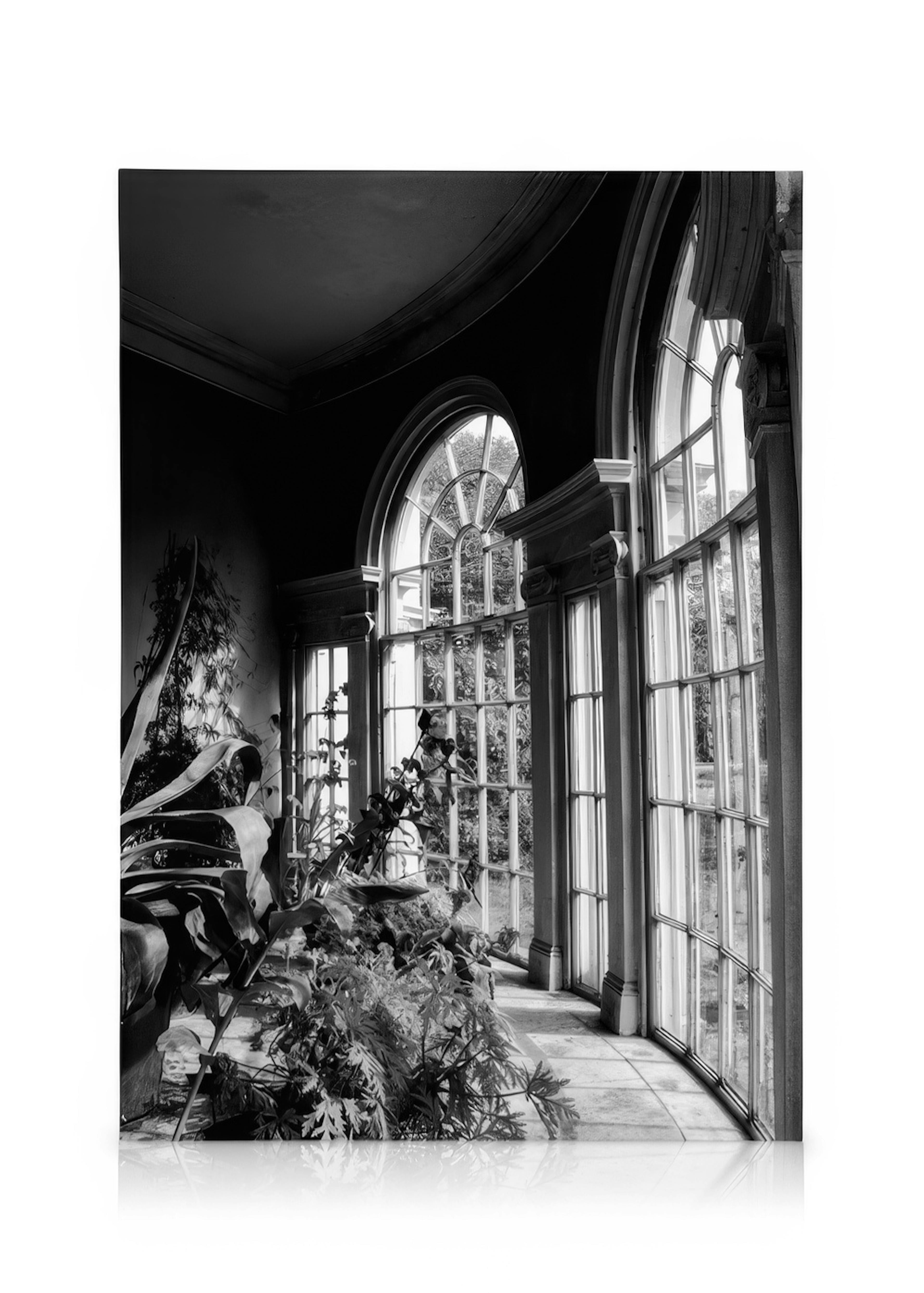 Garden of Light Canvas 0