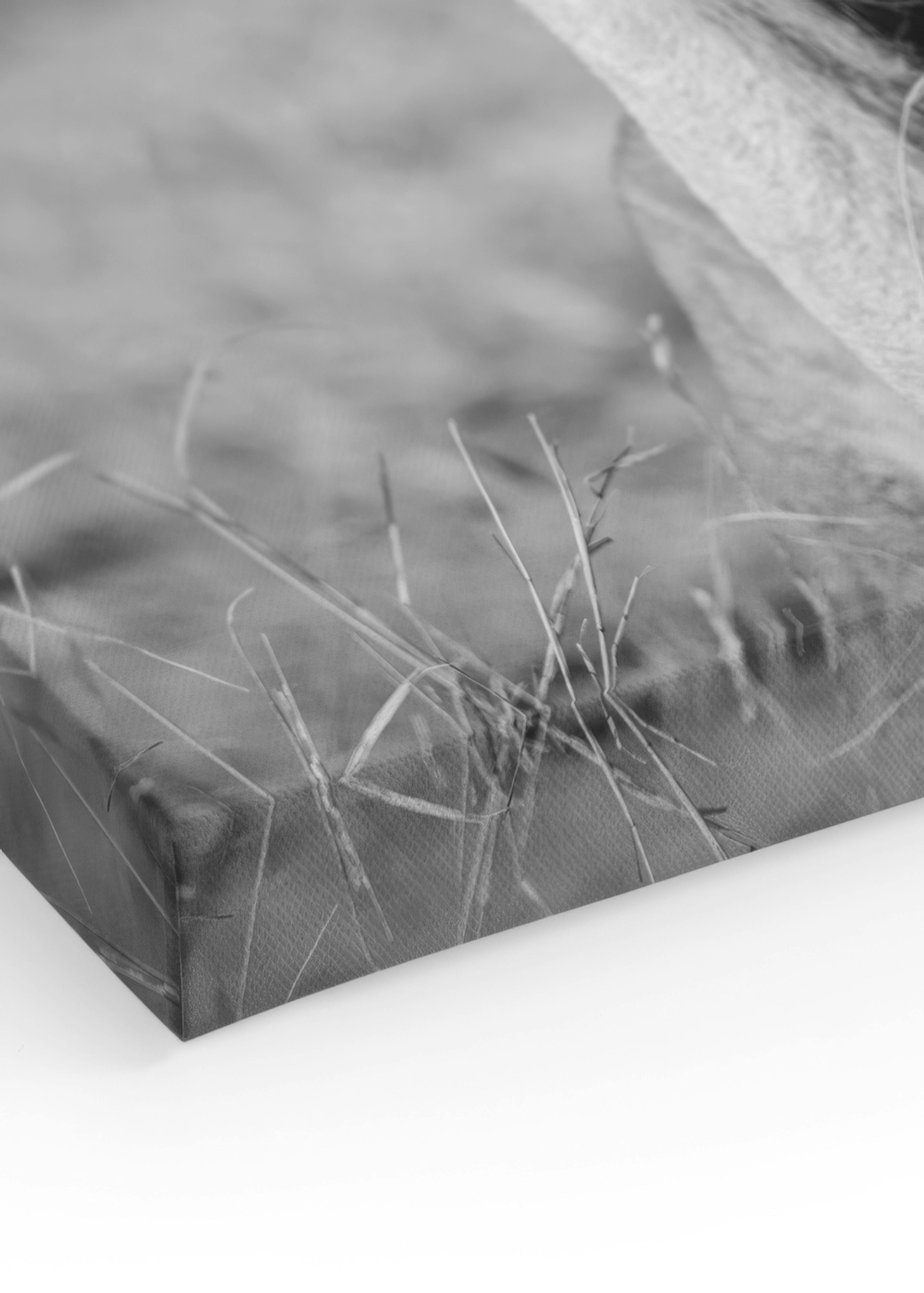 Product image: 3
