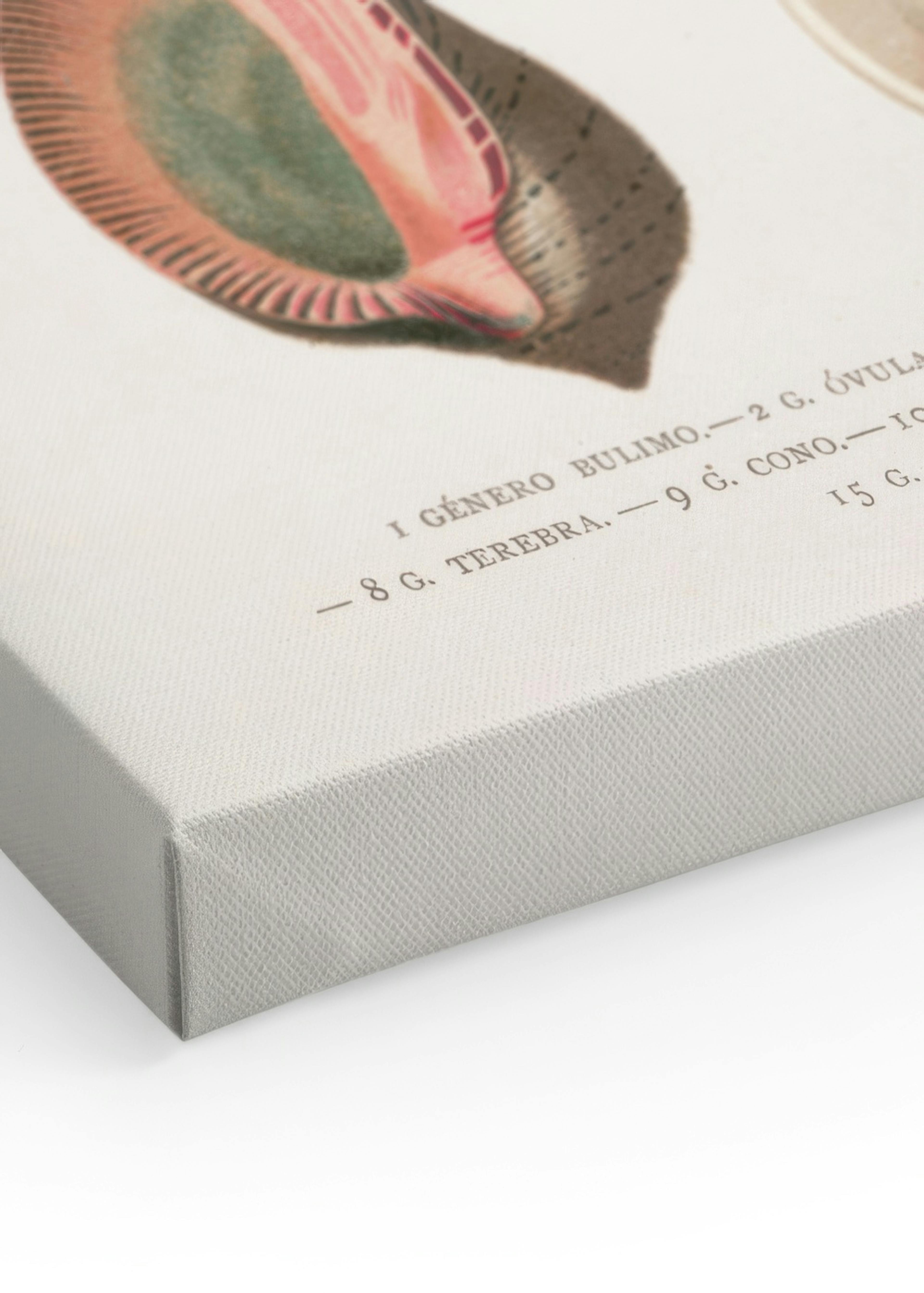 Product image: 3