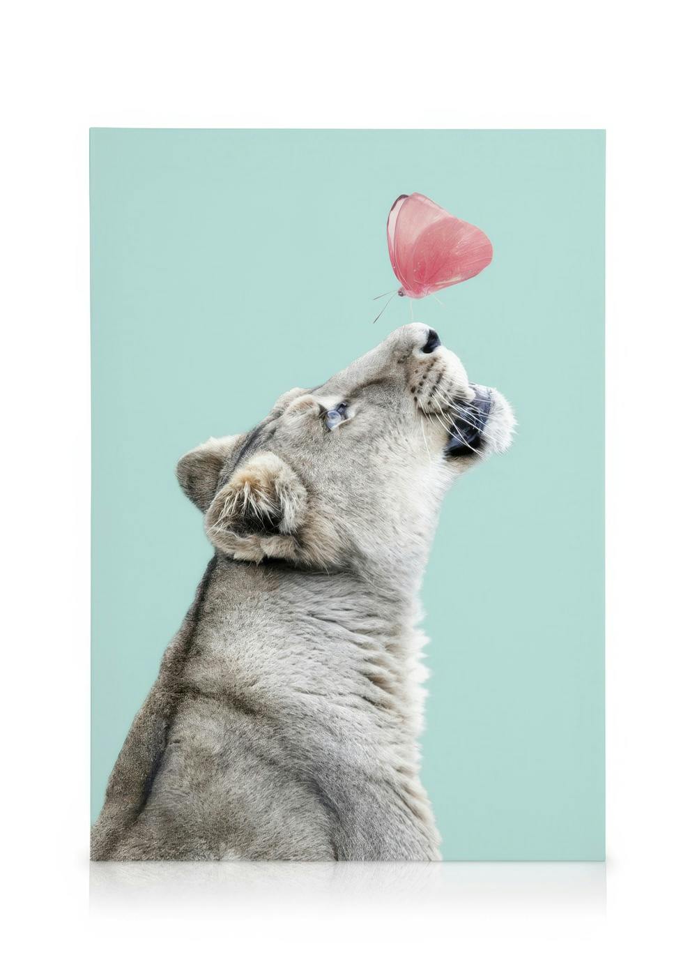 Canvas met leeuw die naar roze vlinder kijkt op lichtblauwe achtergrond, perfect voor kinderkamer decoratie.