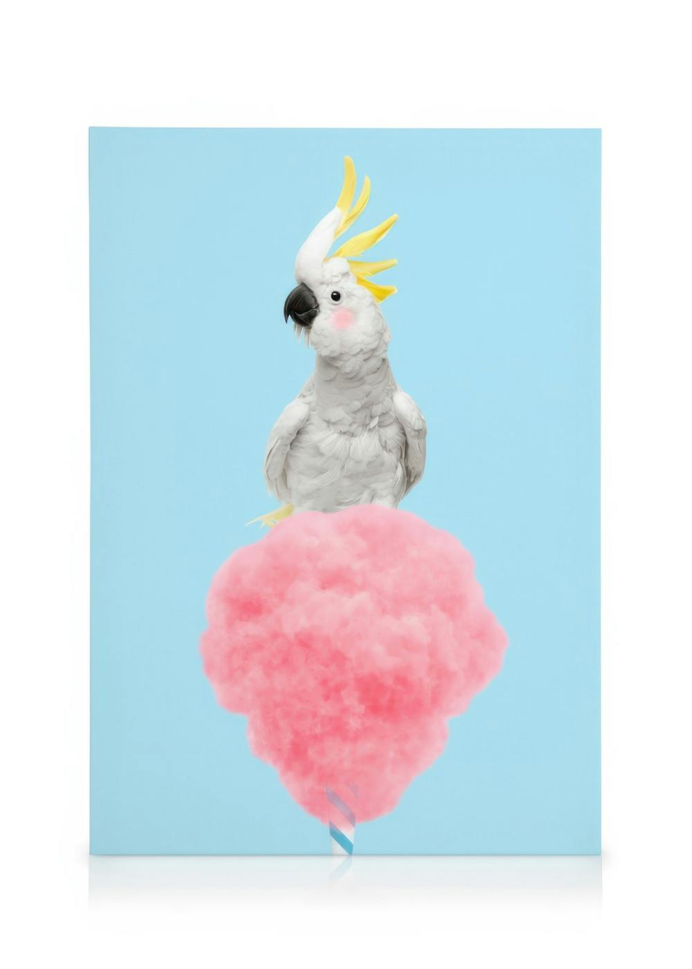 Canvas Prints Cotton Candy Cockatoo Canvas print (50x70 cm - Oak Frame)