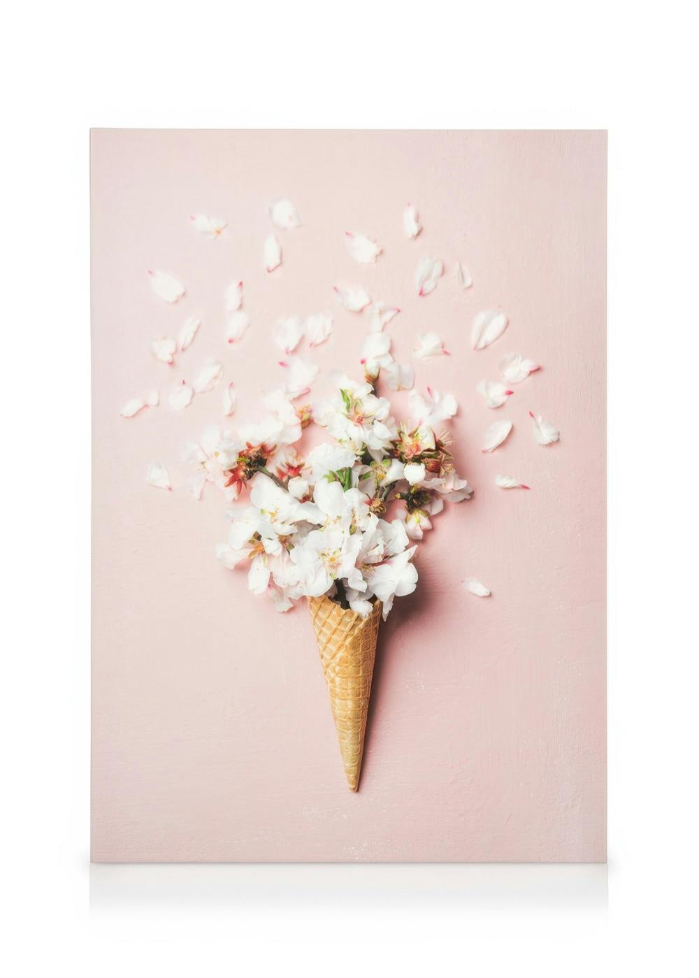 Flower Cone Pink Tableau sur toile (50x70 cm) - Fleurs