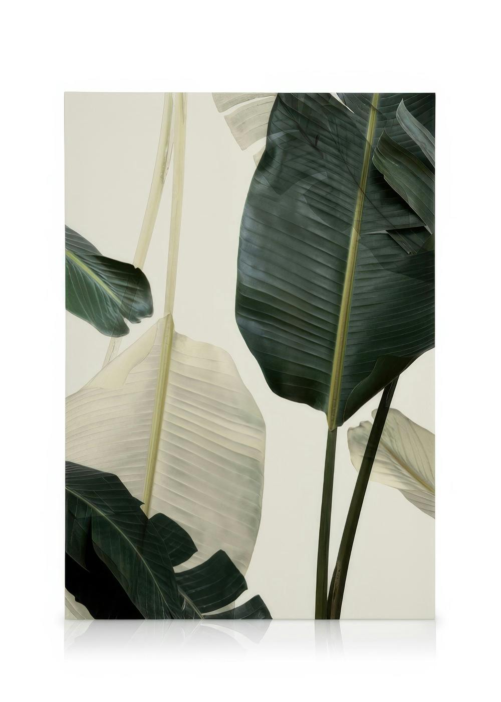 Canvas Prints Banana Leaf Shades No1 Canvas print (30x40 cm - Oak Frame)
