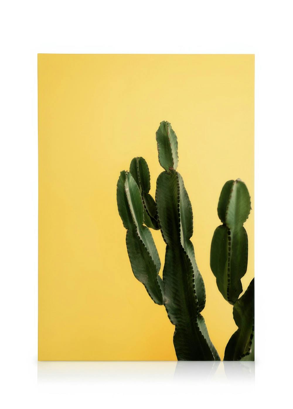 Quadro em tela com cacto verde escuro em primeiro plano contra fundo amarelo brilhante, arte de parede moderna.