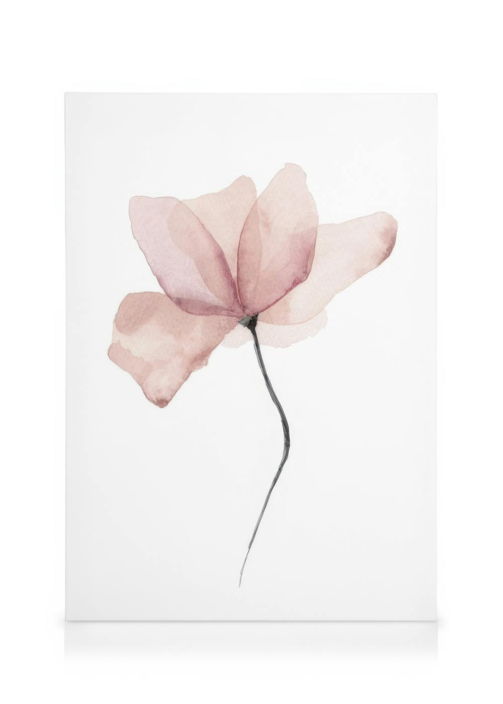 Canvas Prints Aquarelle Flower Canvas print (50x70 cm - Black Frame)