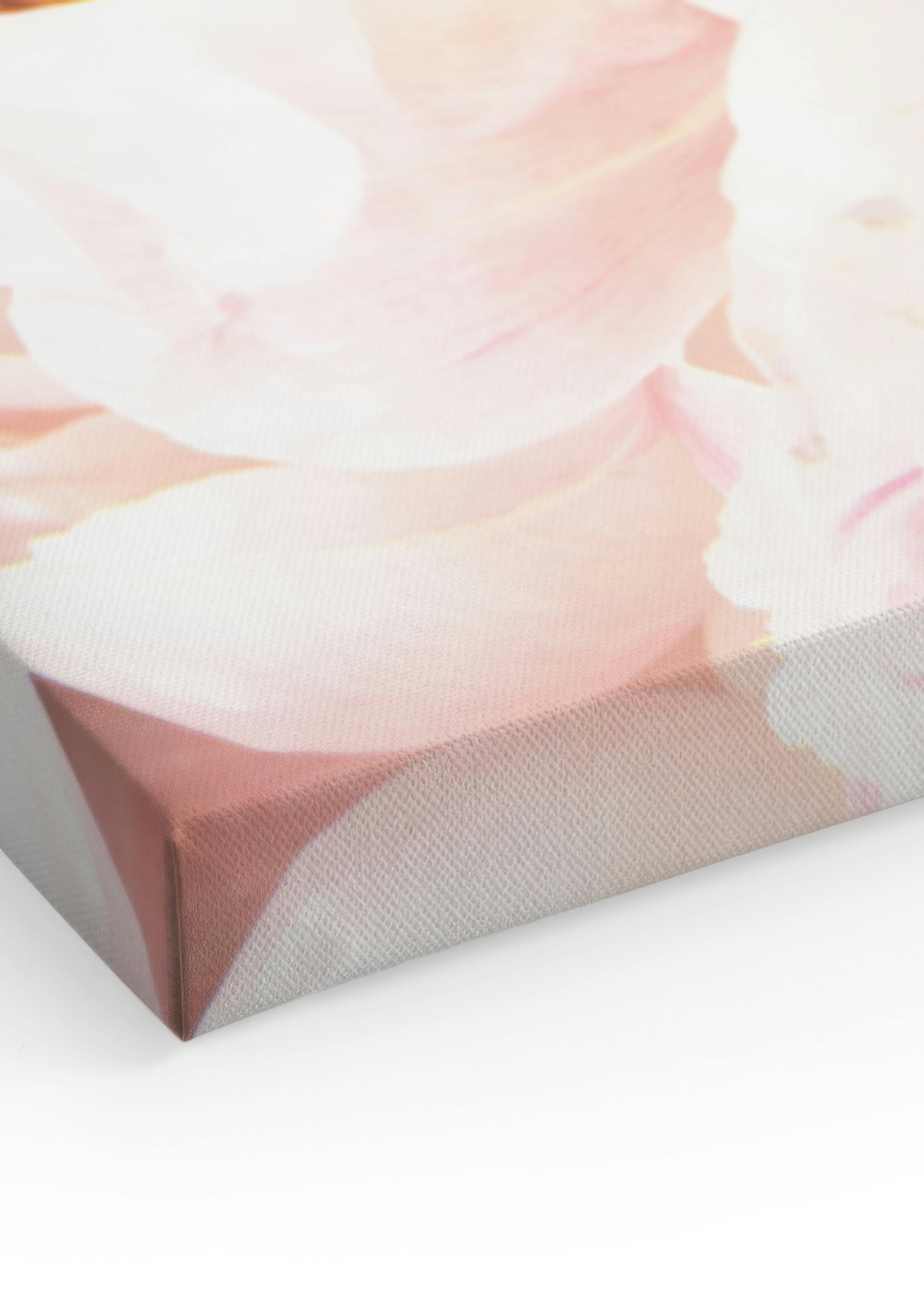 Pink Peonies No2 Canvas print