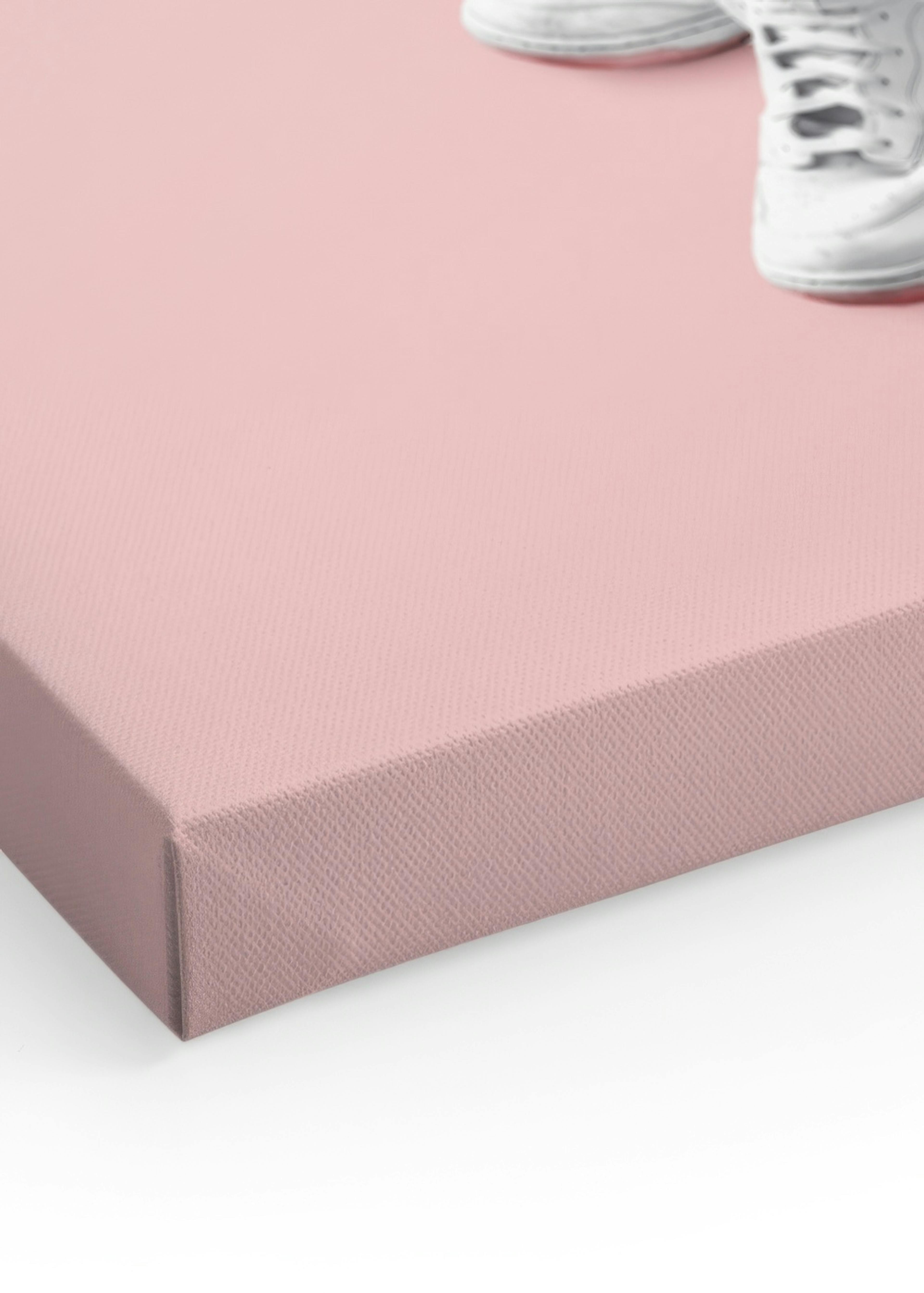 Jonas Loose - Sneaker Flamingo Canvas print