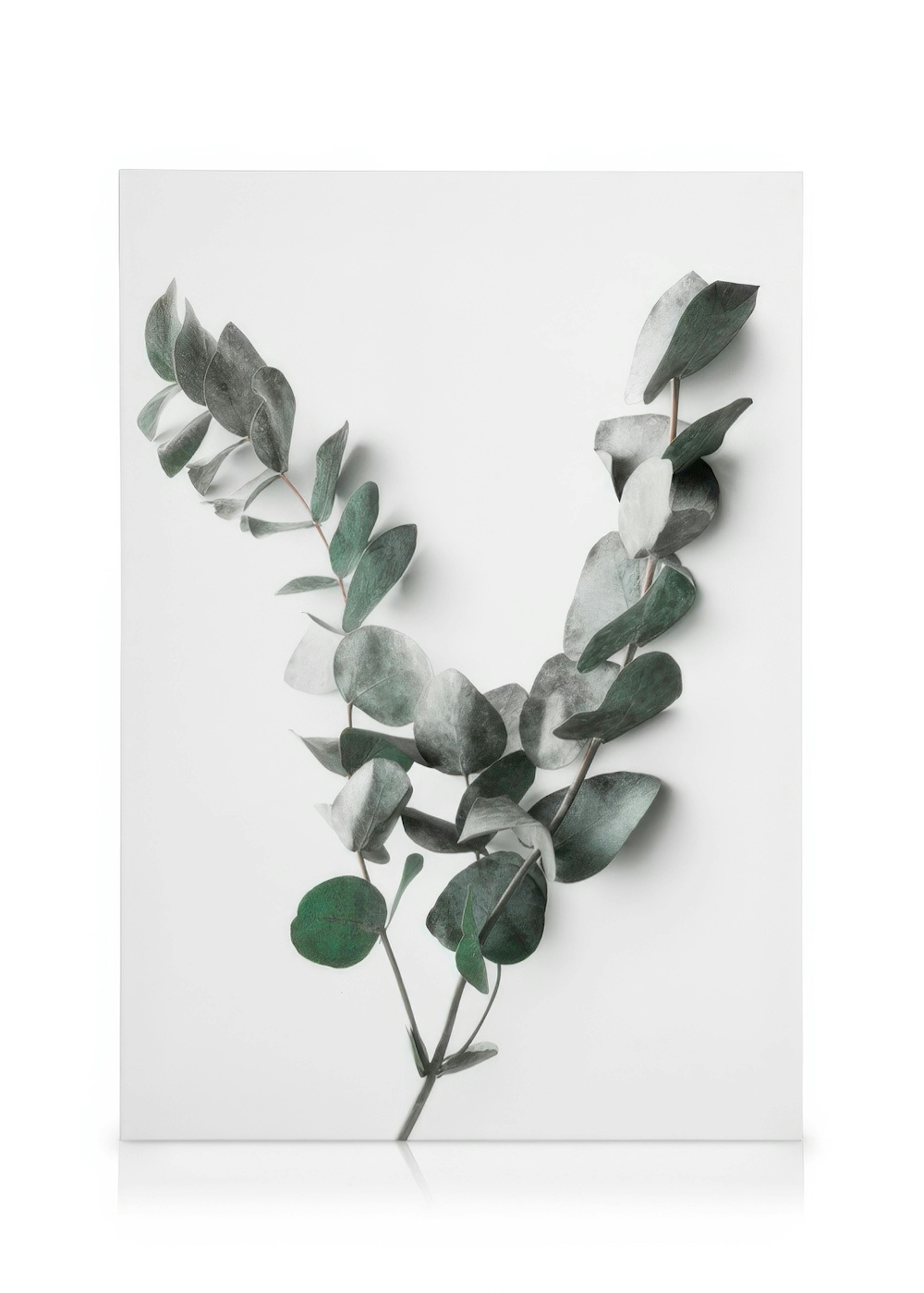 Eucalyptus Twigs No2 Lærred 0
