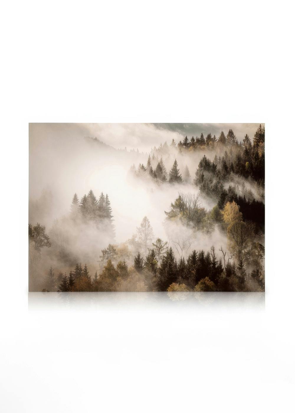 Obrazy na płótnie Misty Autumn Forest Obraz na płótnie (30x40 cm)