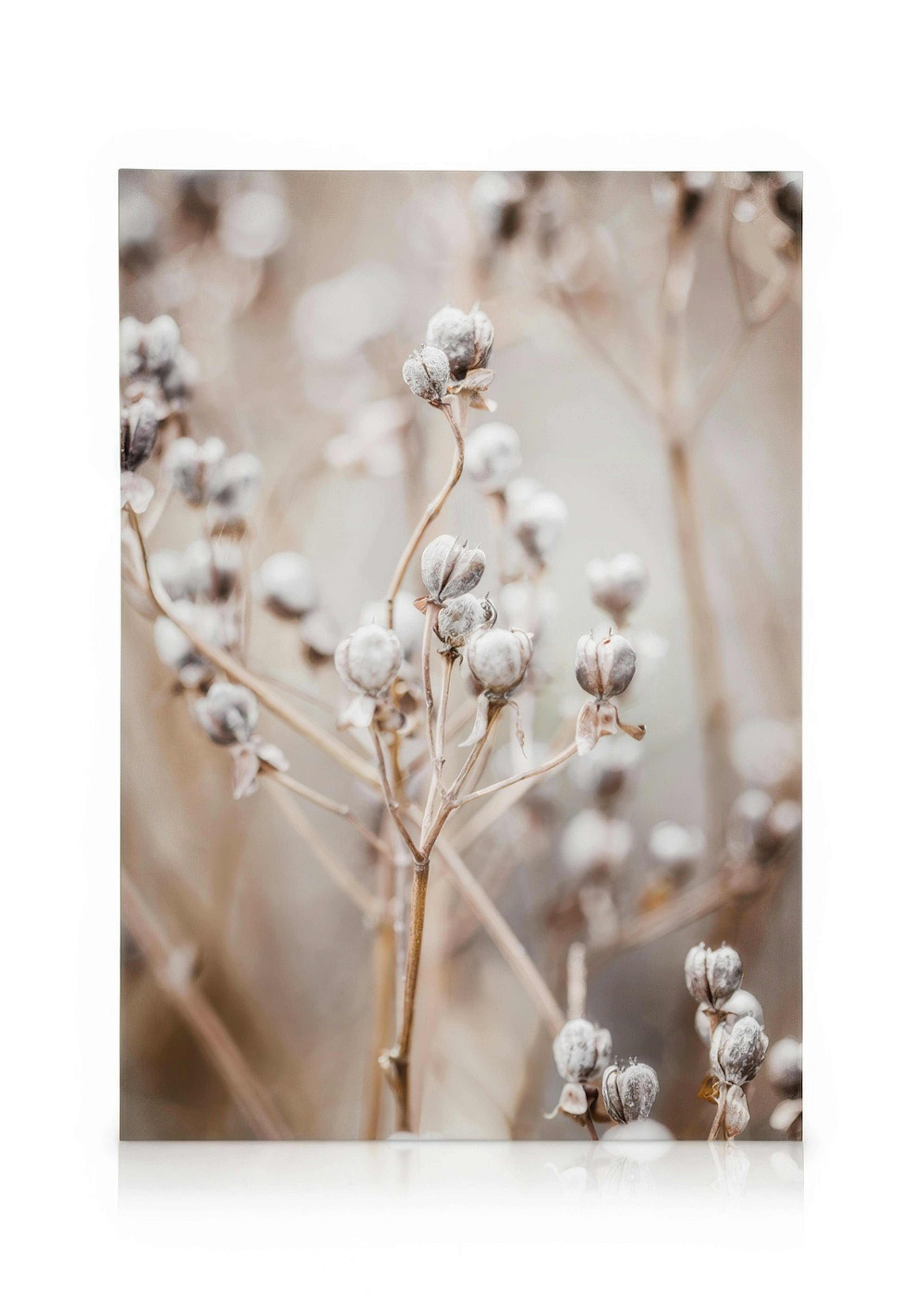 Autumn Nature Toile 0