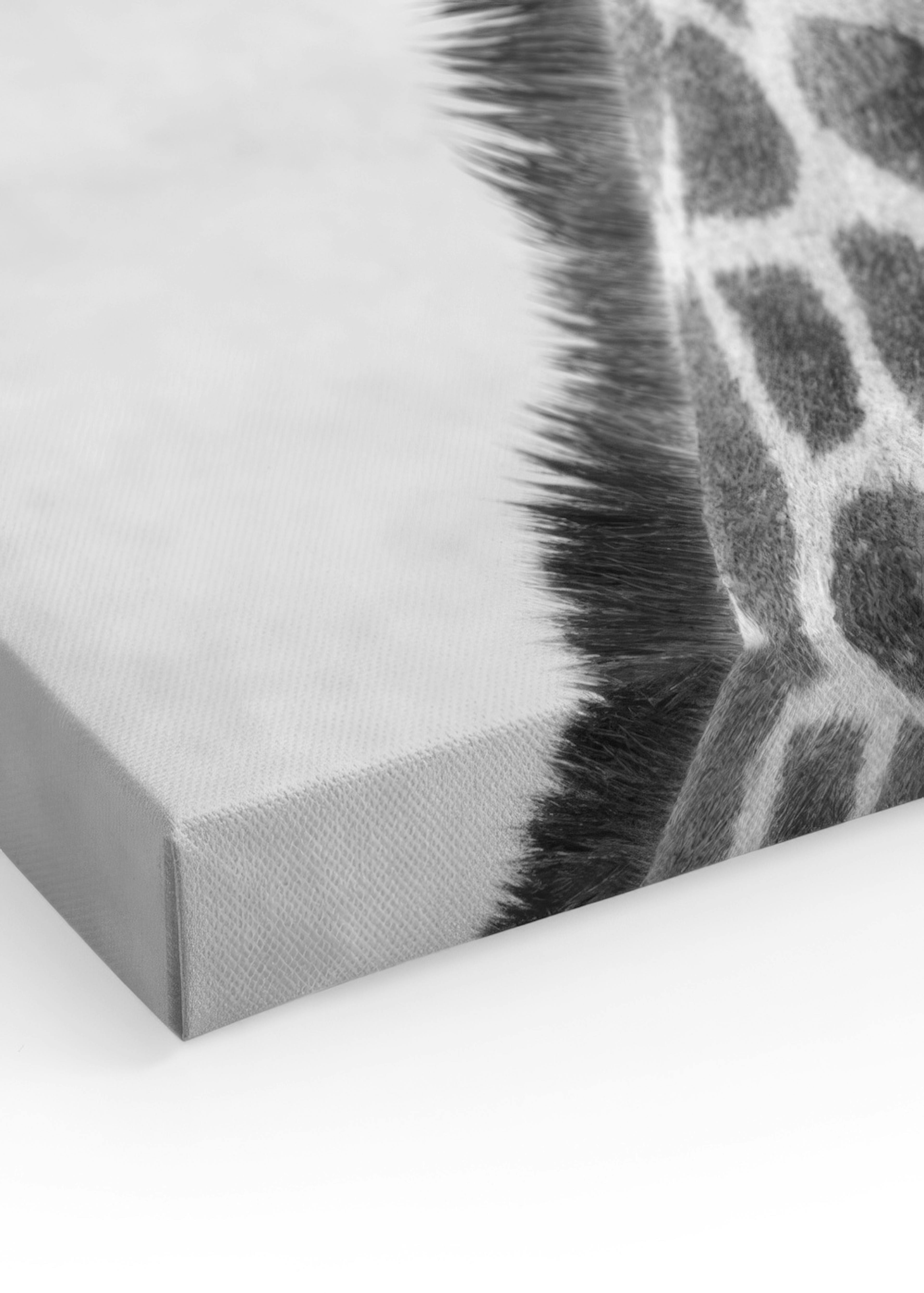 Product image: 3