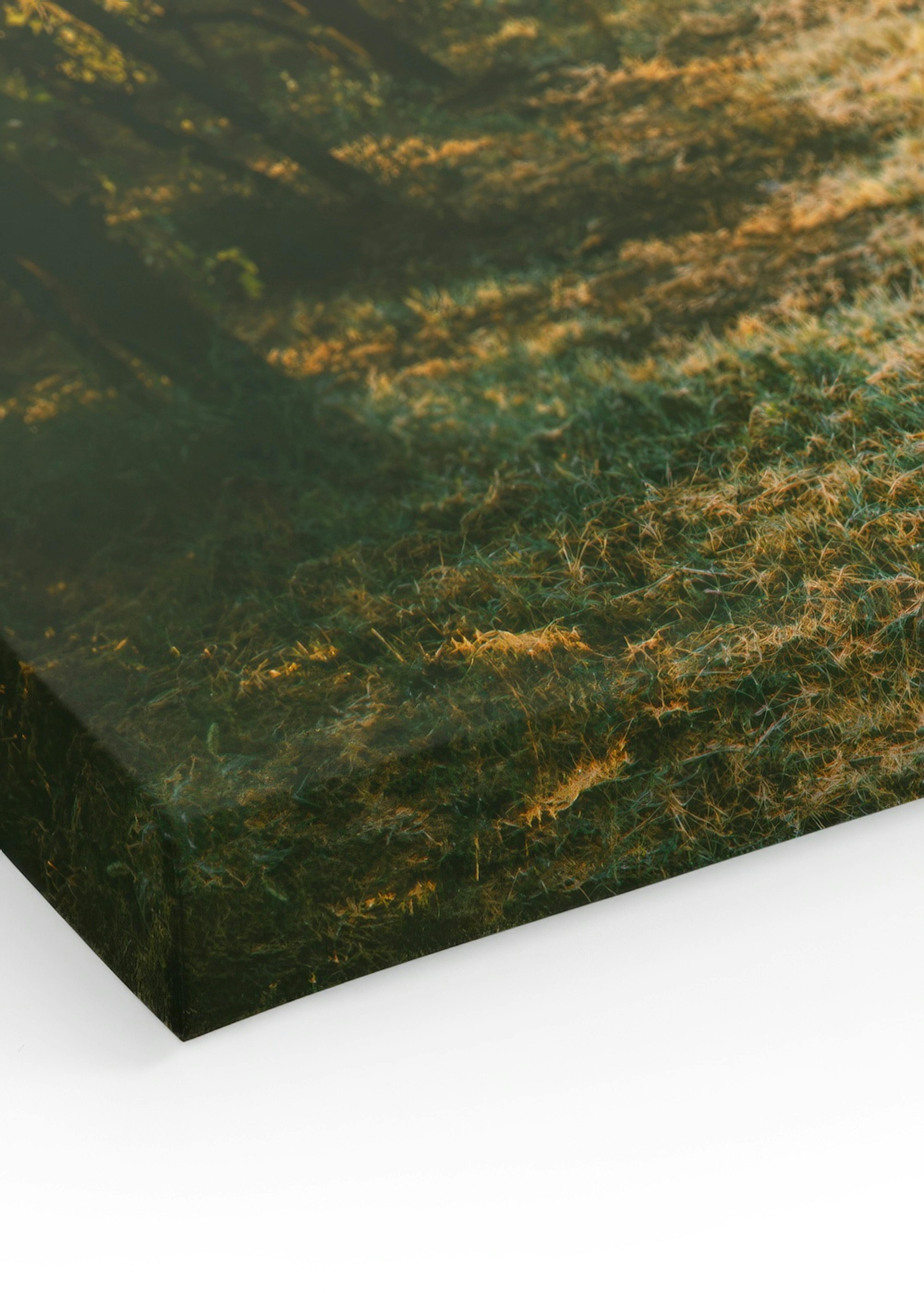 Product image: 3