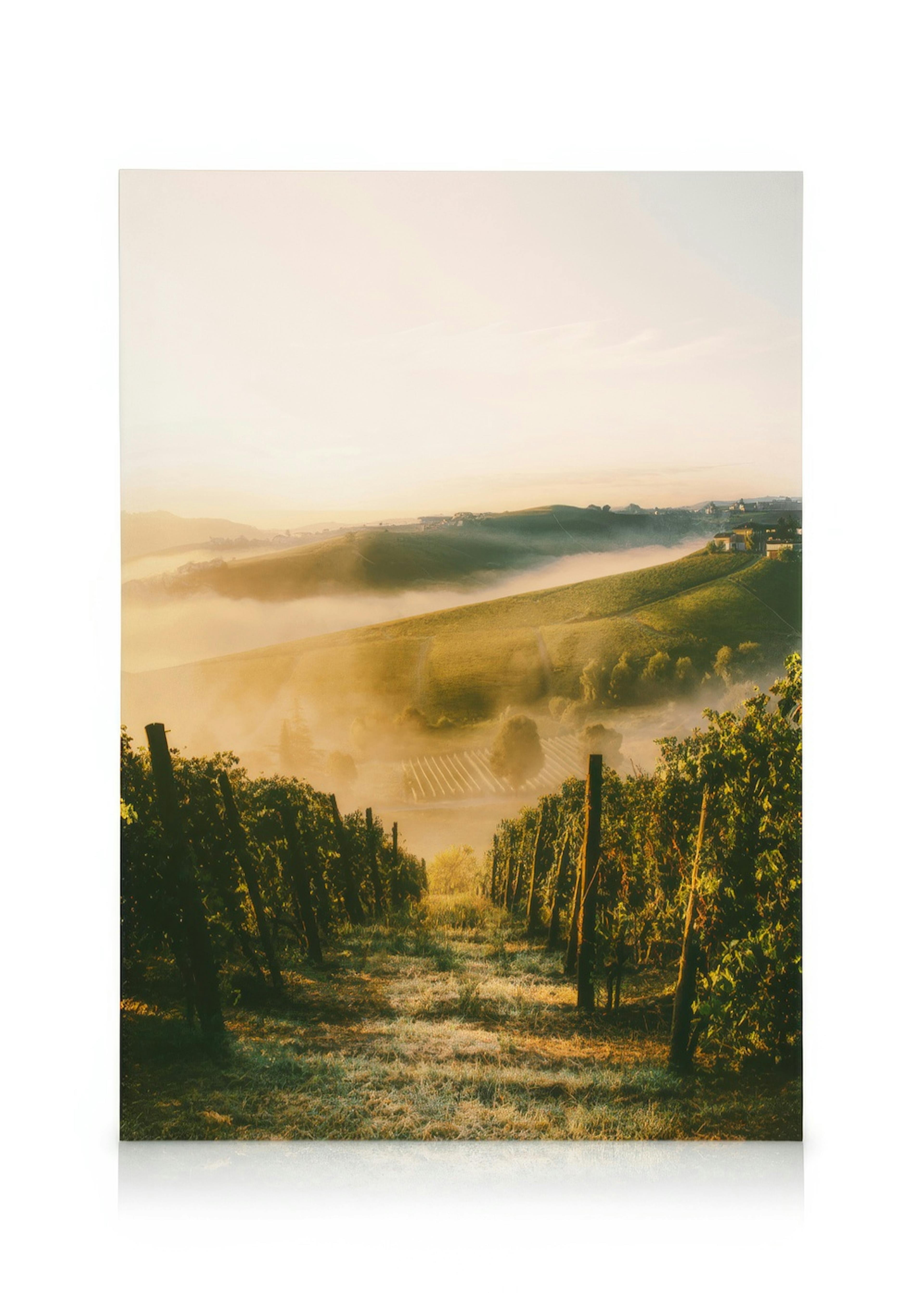 Langhe Vineyard Tableau sur toile 0