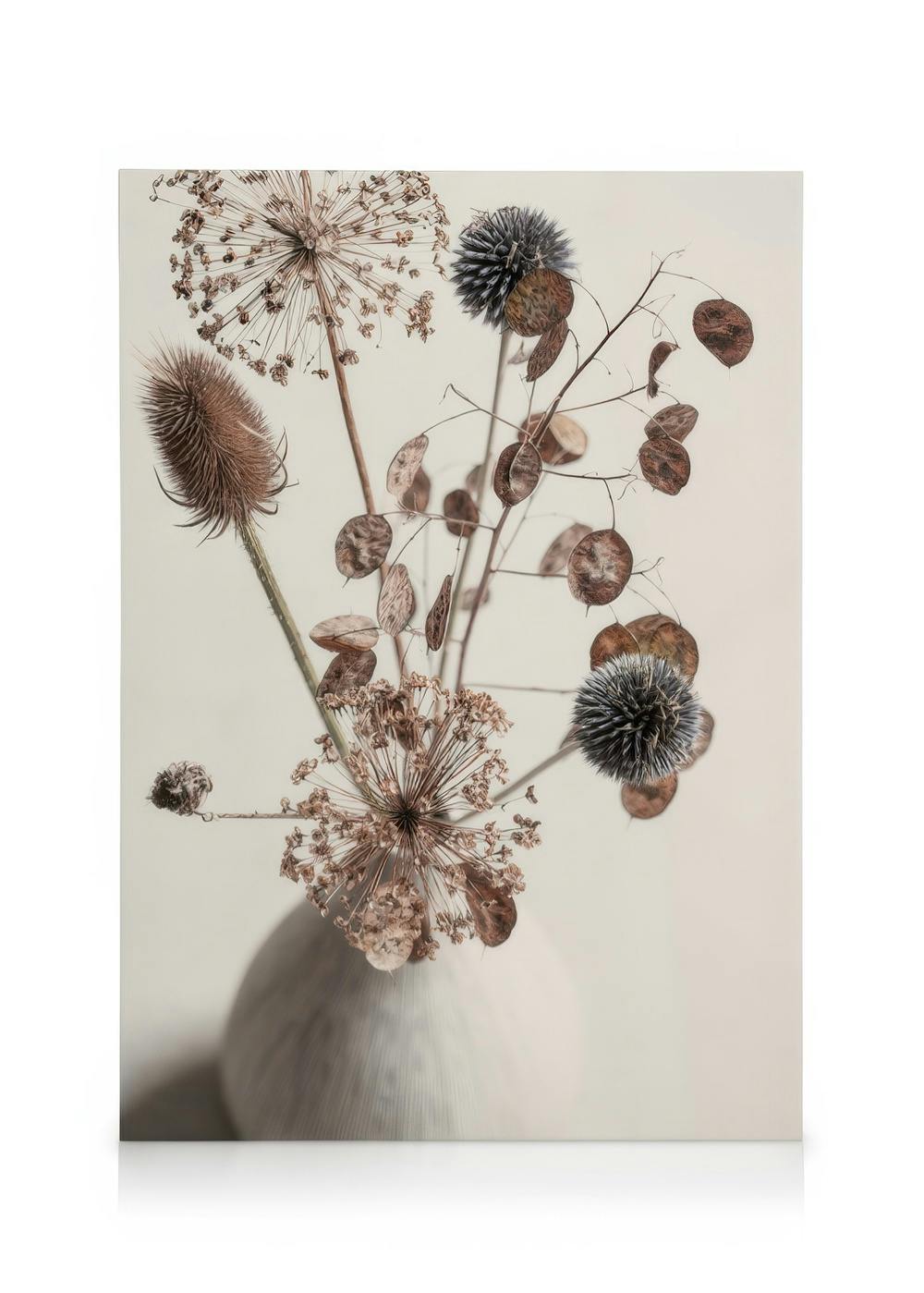 Lerret med tørkede blomster i vase, med runde frøhoder og spisse grener i brune og beige toner. Naturinspirert veggkunst.