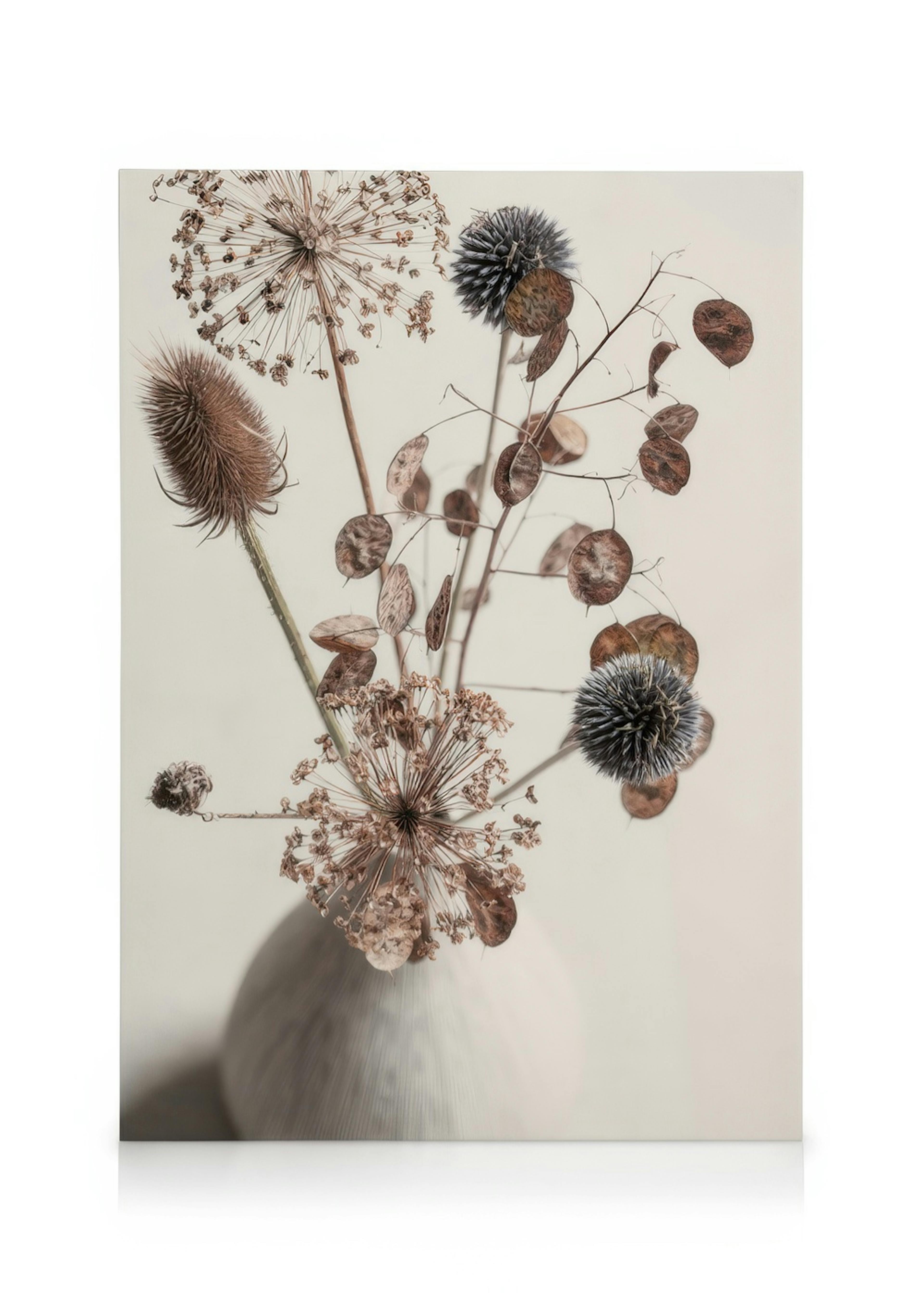 Lerret med tørkede blomster i vase, med runde frøhoder og spisse grener i brune og beige toner. Naturinspirert veggkunst.