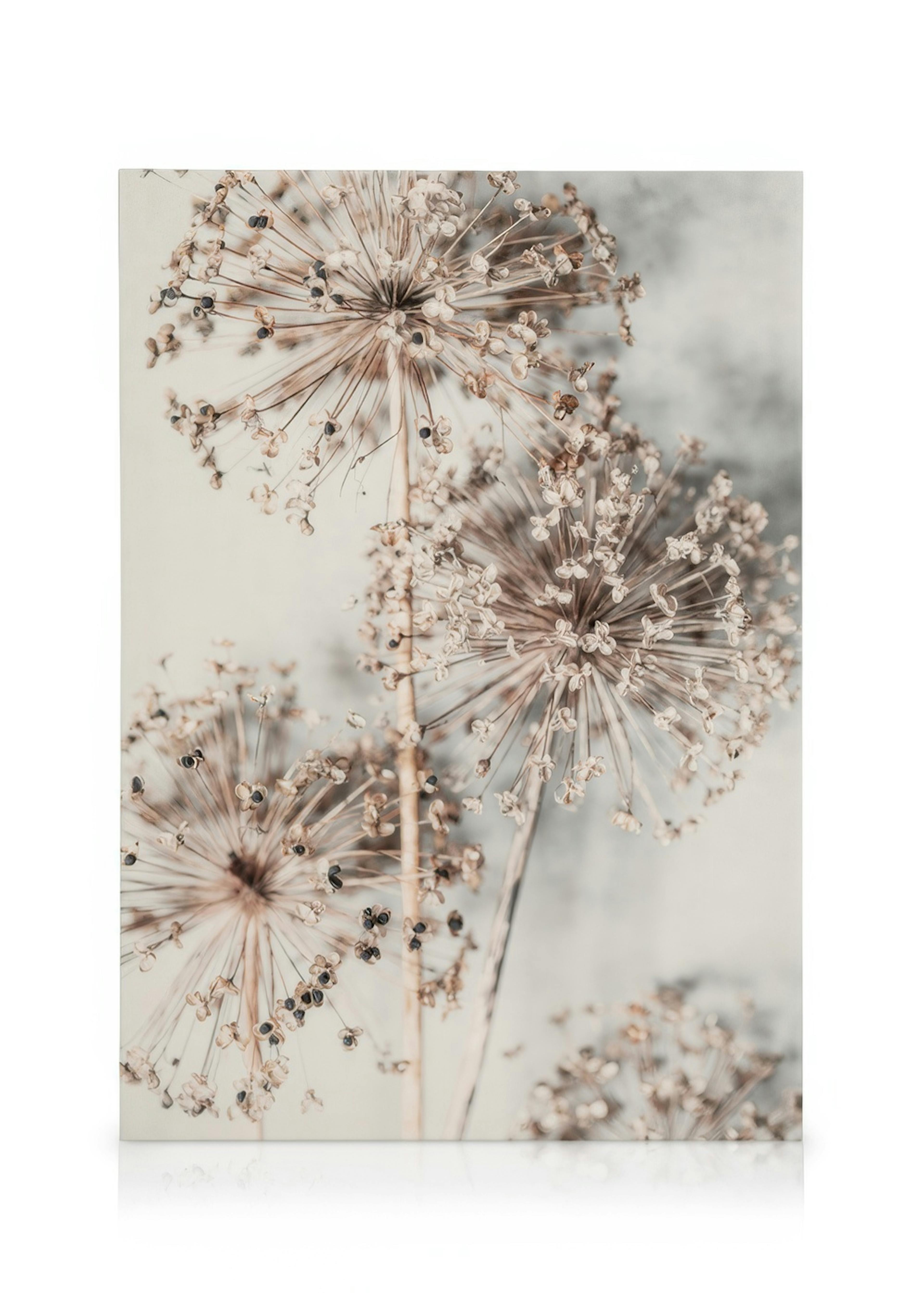 Autumn Allium Toile 0