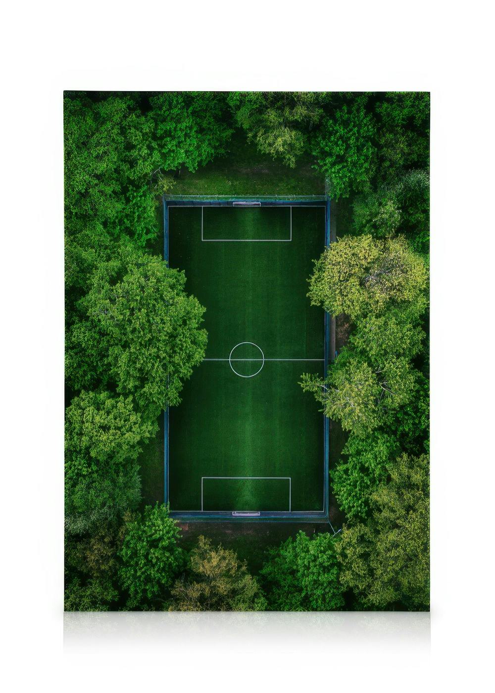 Vogelperspectief van voetbalveld met witte lijnen, doelen en omringende groene bomen op canvas.