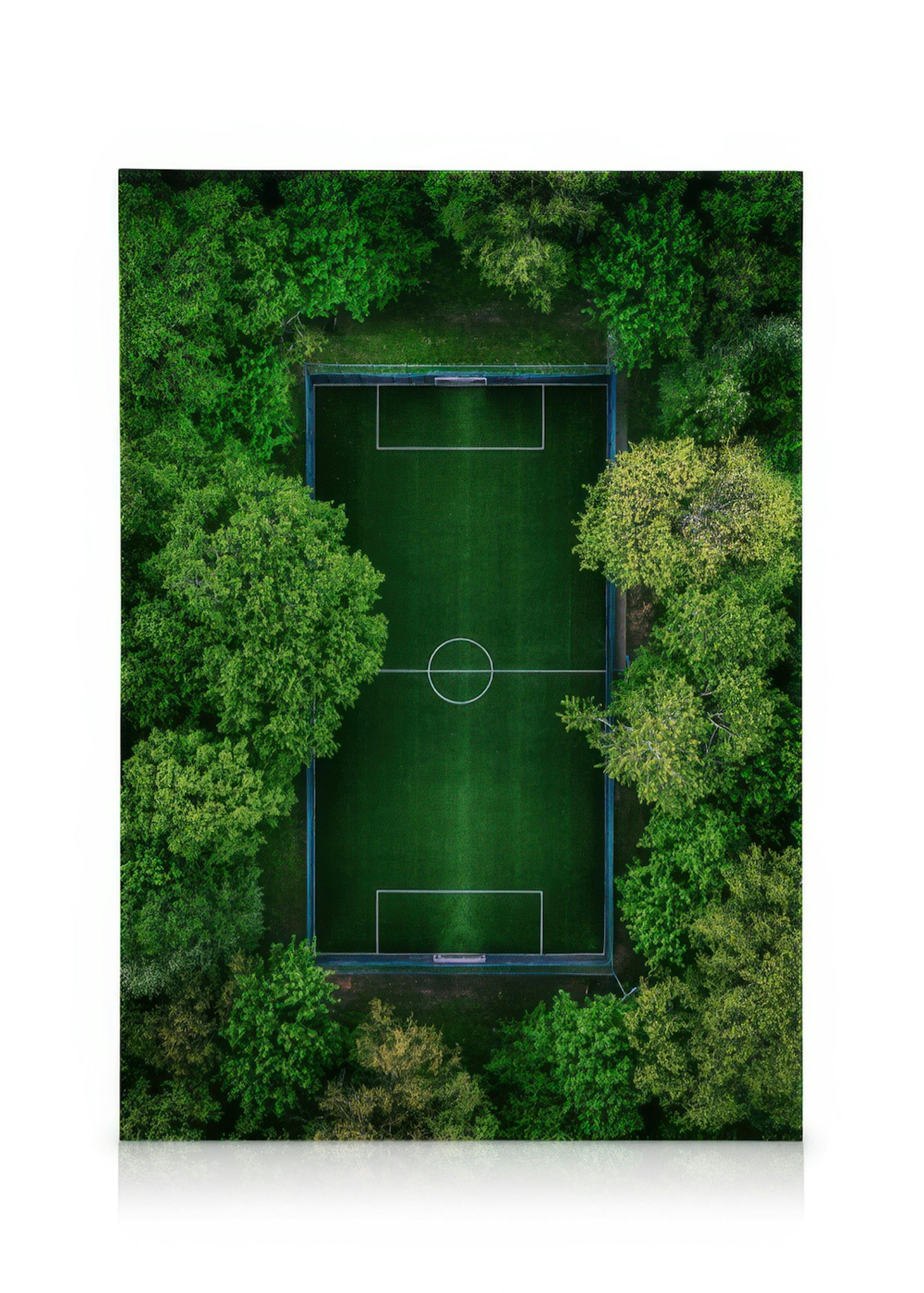 Vogelperspectief van voetbalveld met witte lijnen, doelen en omringende groene bomen op canvas.