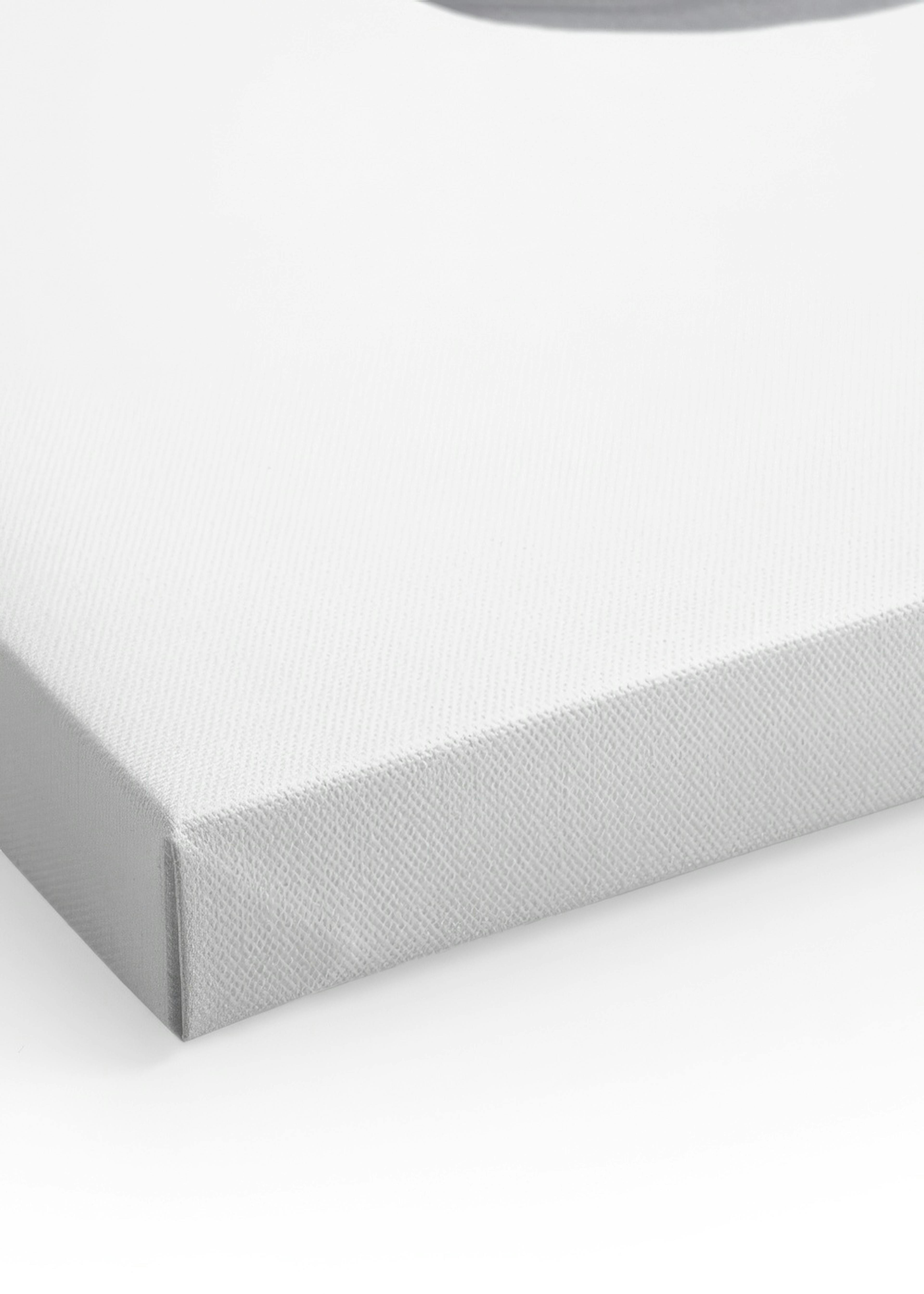 Koala Hug Canvas