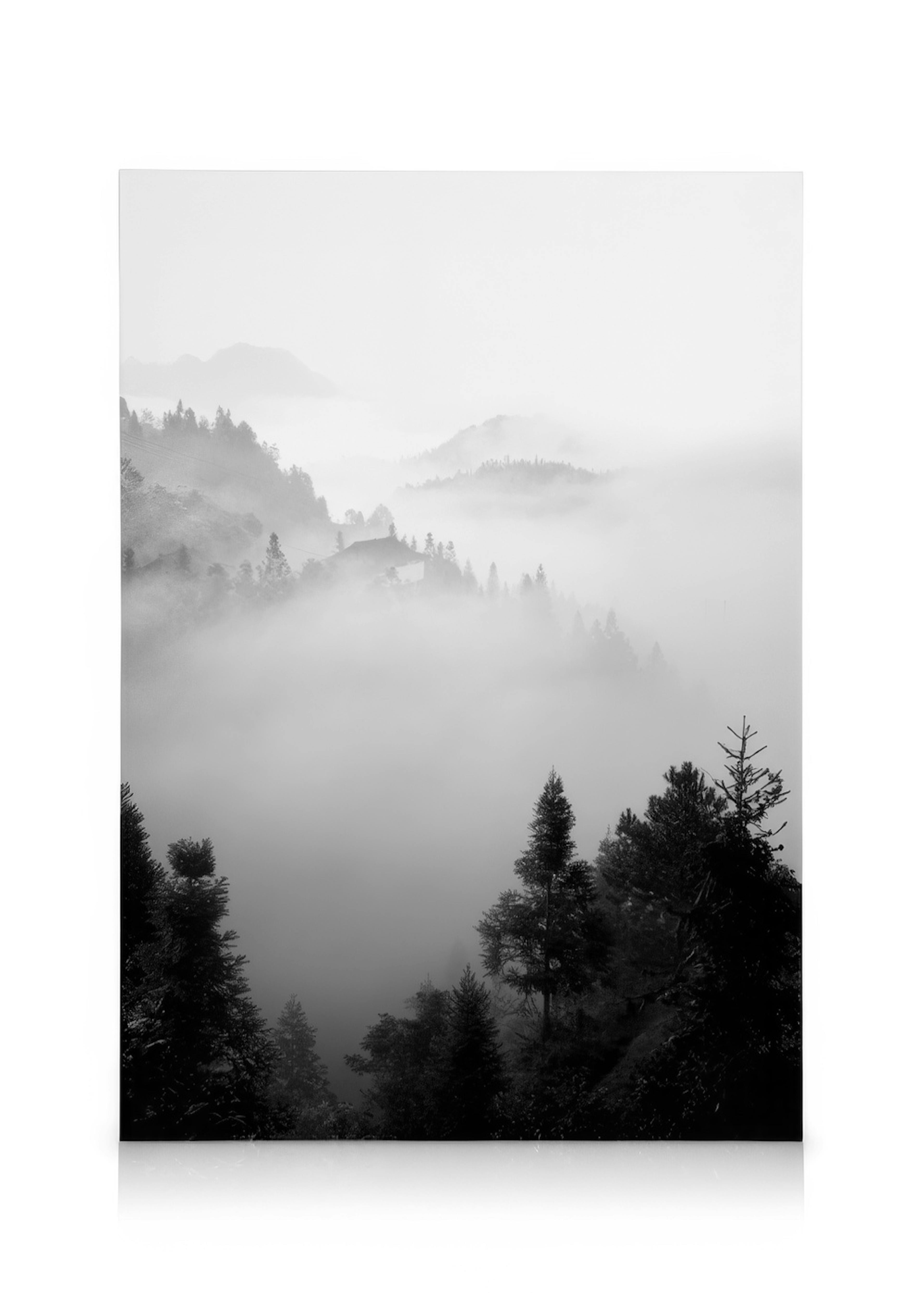 The Morning Mist Kanvaasi 0