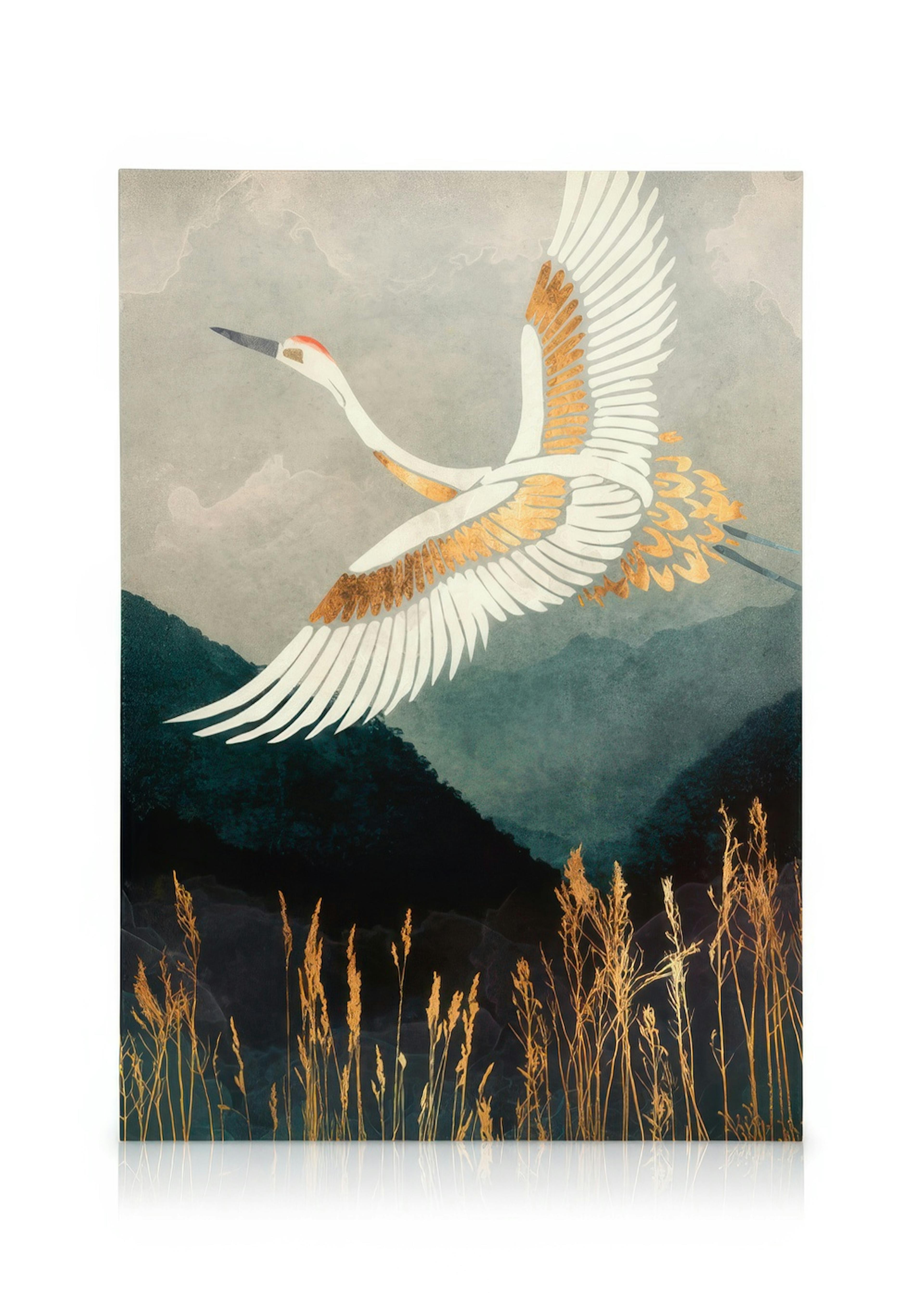 SpaceFrog Designs - Elegant Flight Lærred 0