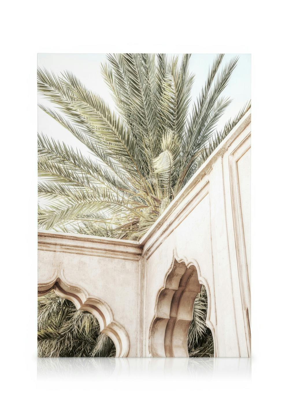 Canvas Prints Palm Curves Canvas print (50x70 cm)