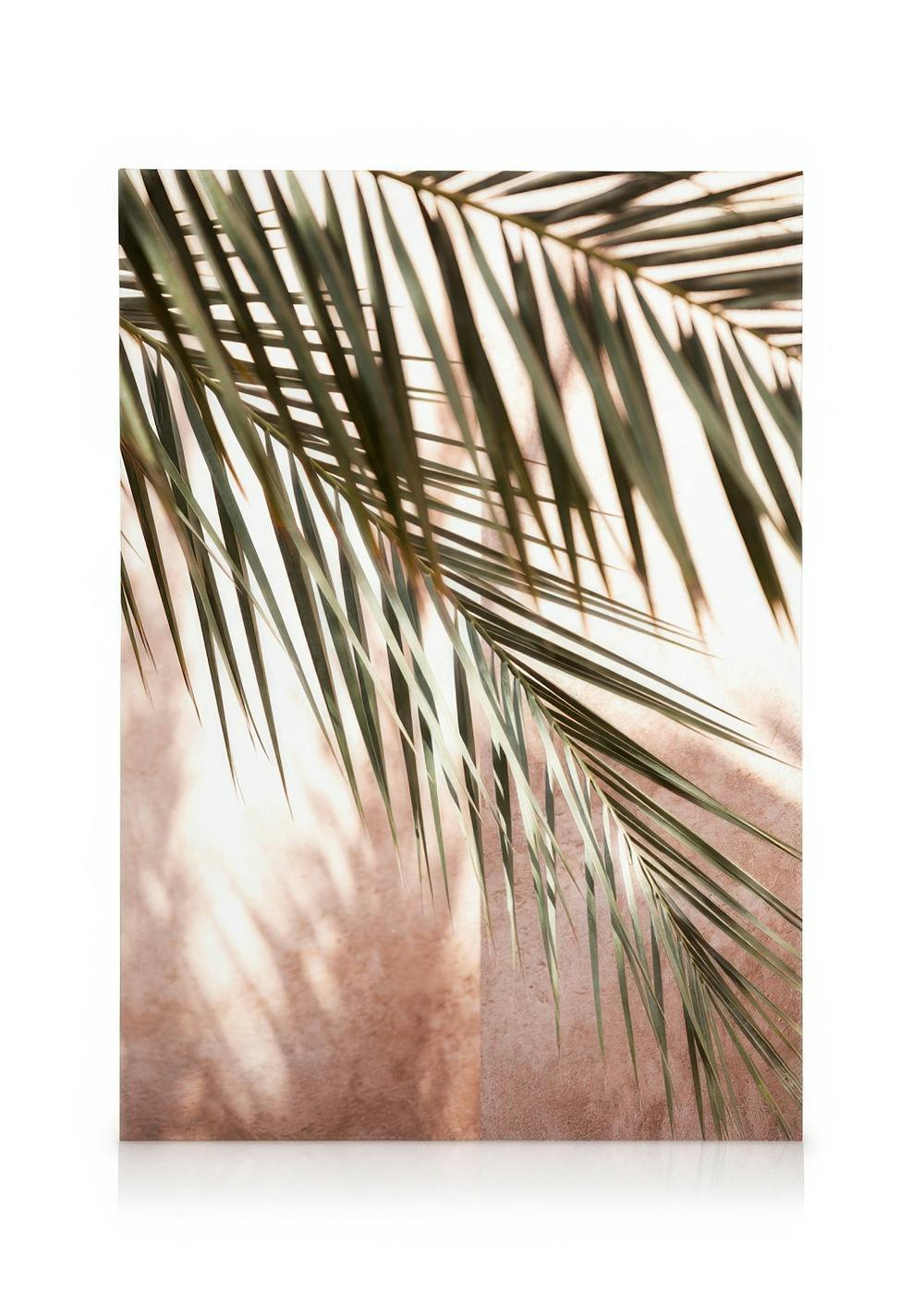 Canvas Prints Pink Shadow Canvas print (50x70 cm)