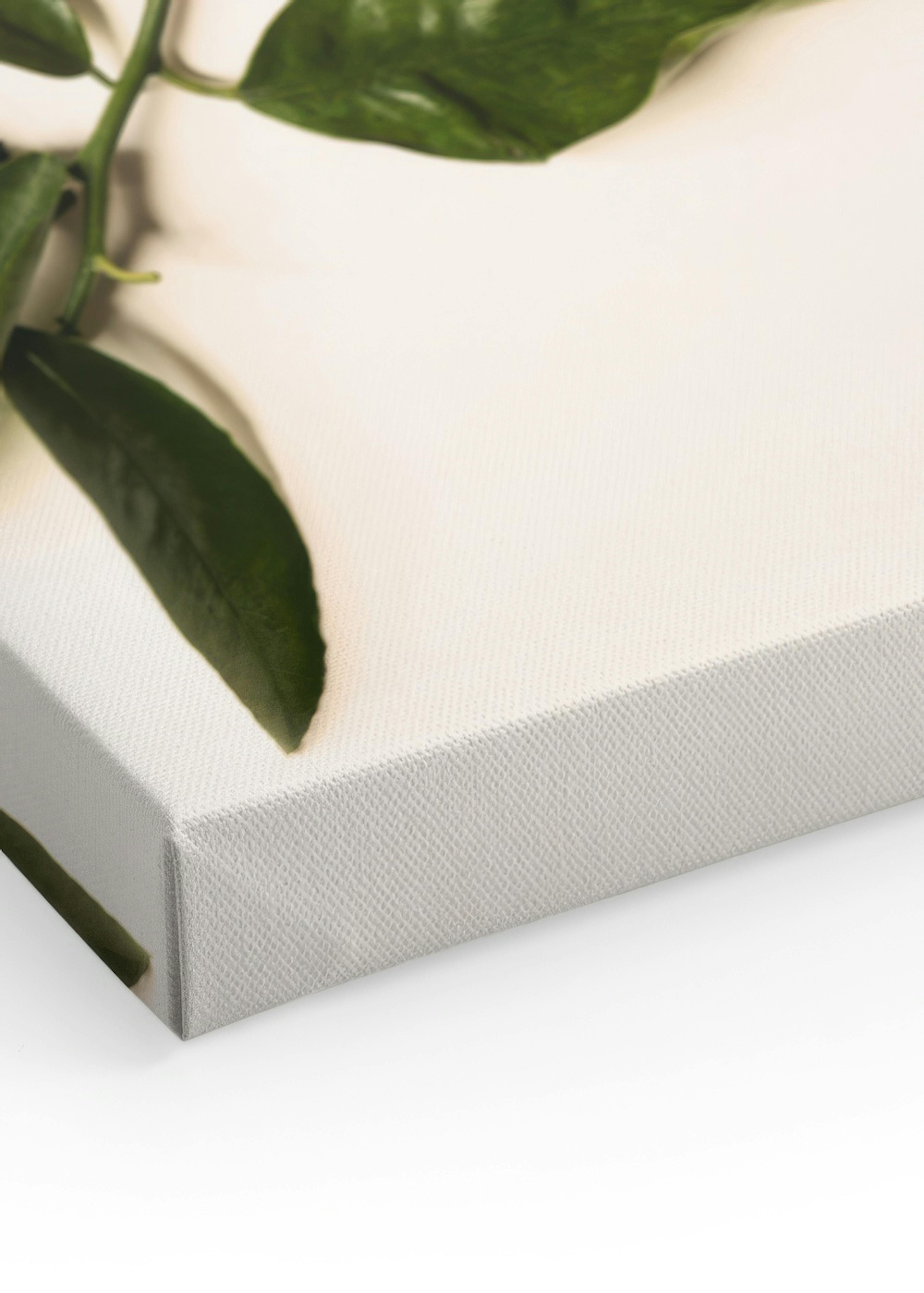 Product image: 3