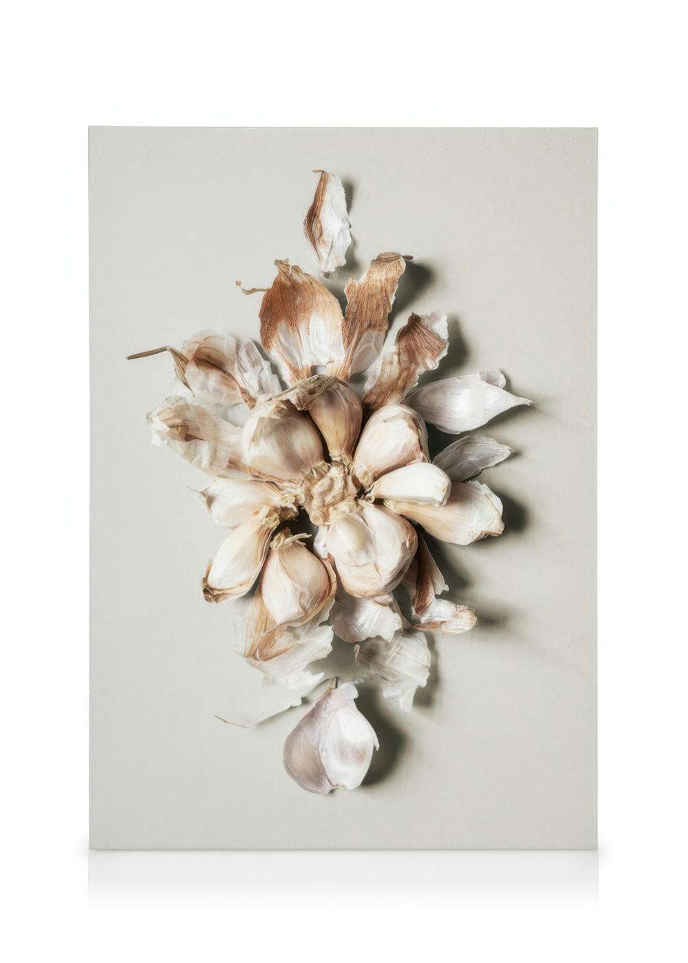 Flower of Garlic canvas print, a still life art piece featuring a cluster of garlic bulbs and loose papery skins on a light grey
