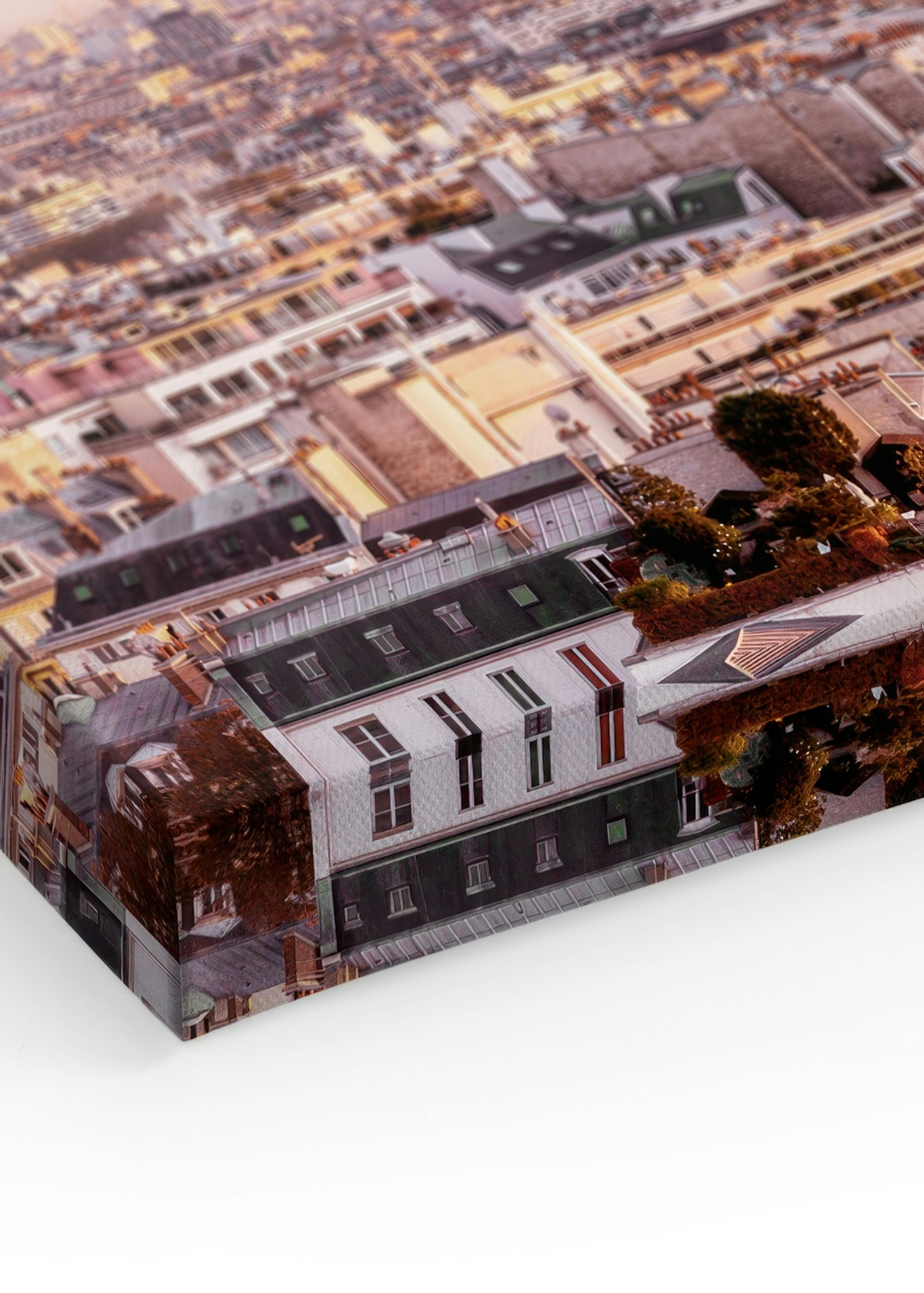 Paris Dawn Canvas print