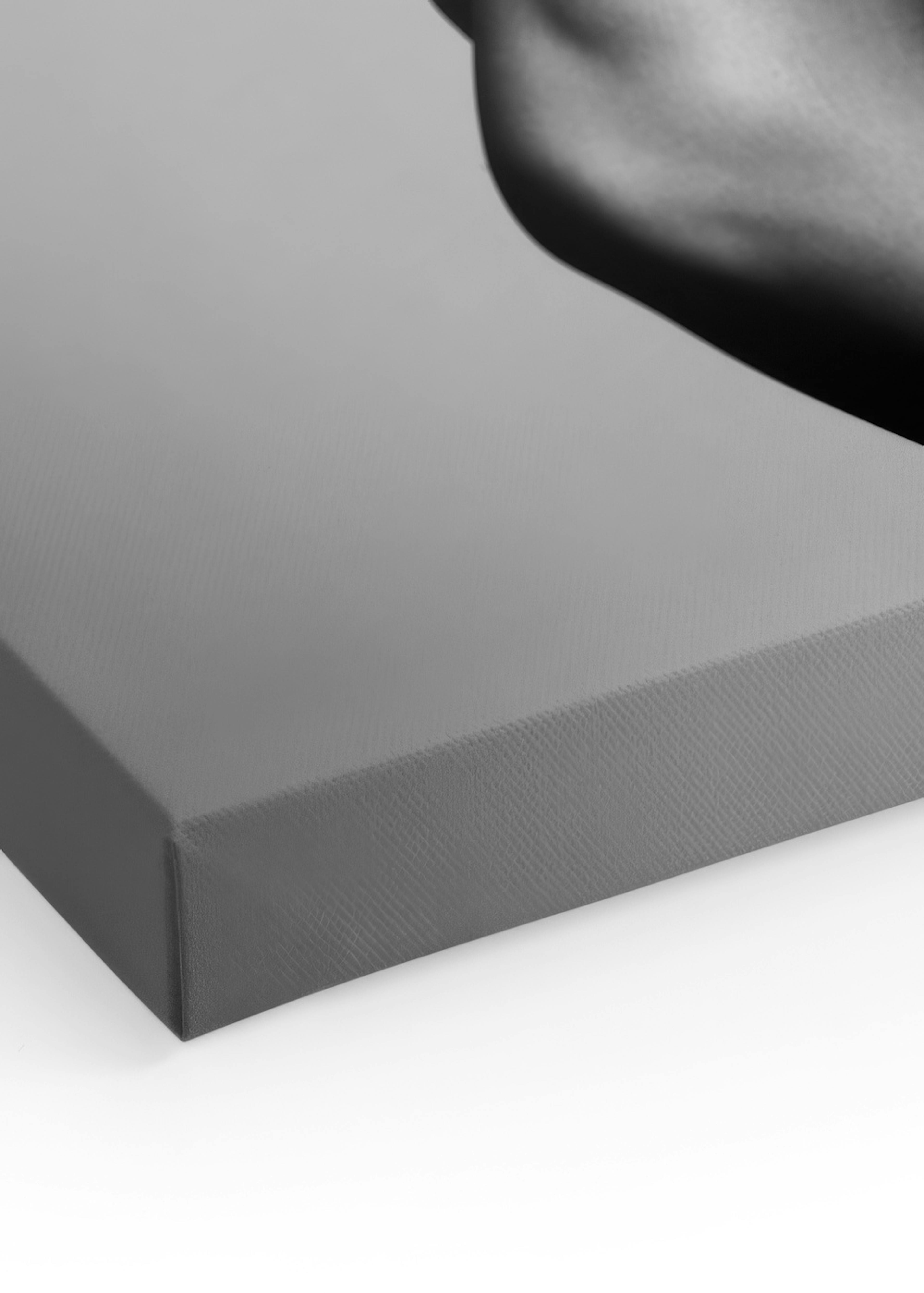 B&W Legs Canvas print