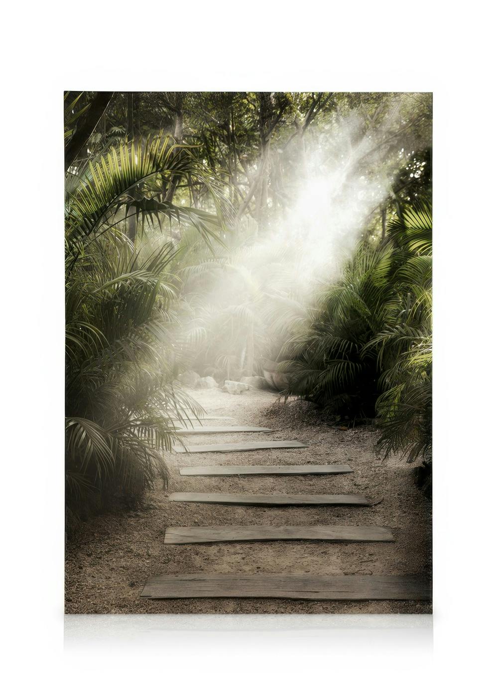 Canvas Prints Secret Path Canvas print (50x70 cm)