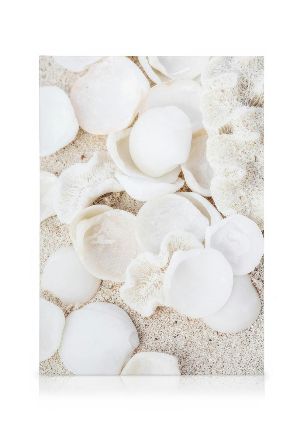 Leinwandbild mit weißen Muscheln und Korallenstücken auf Sand, maritimes Stranddekor