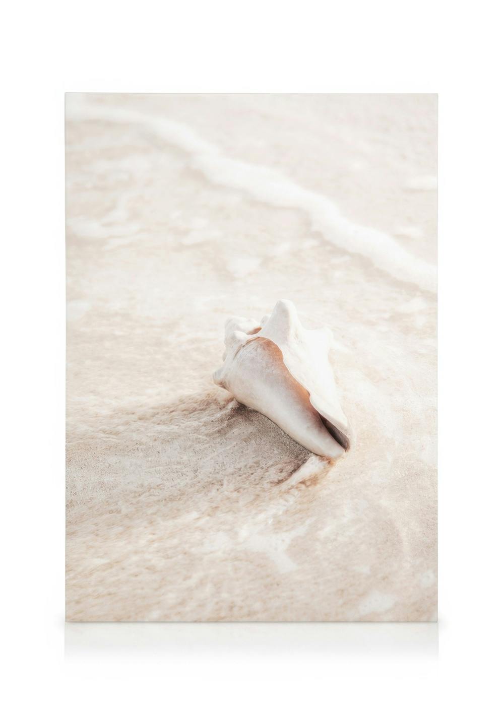 Canvas Schilderijen Nature Creation Canvas (30x40 cm - Fotolijst Zwart)