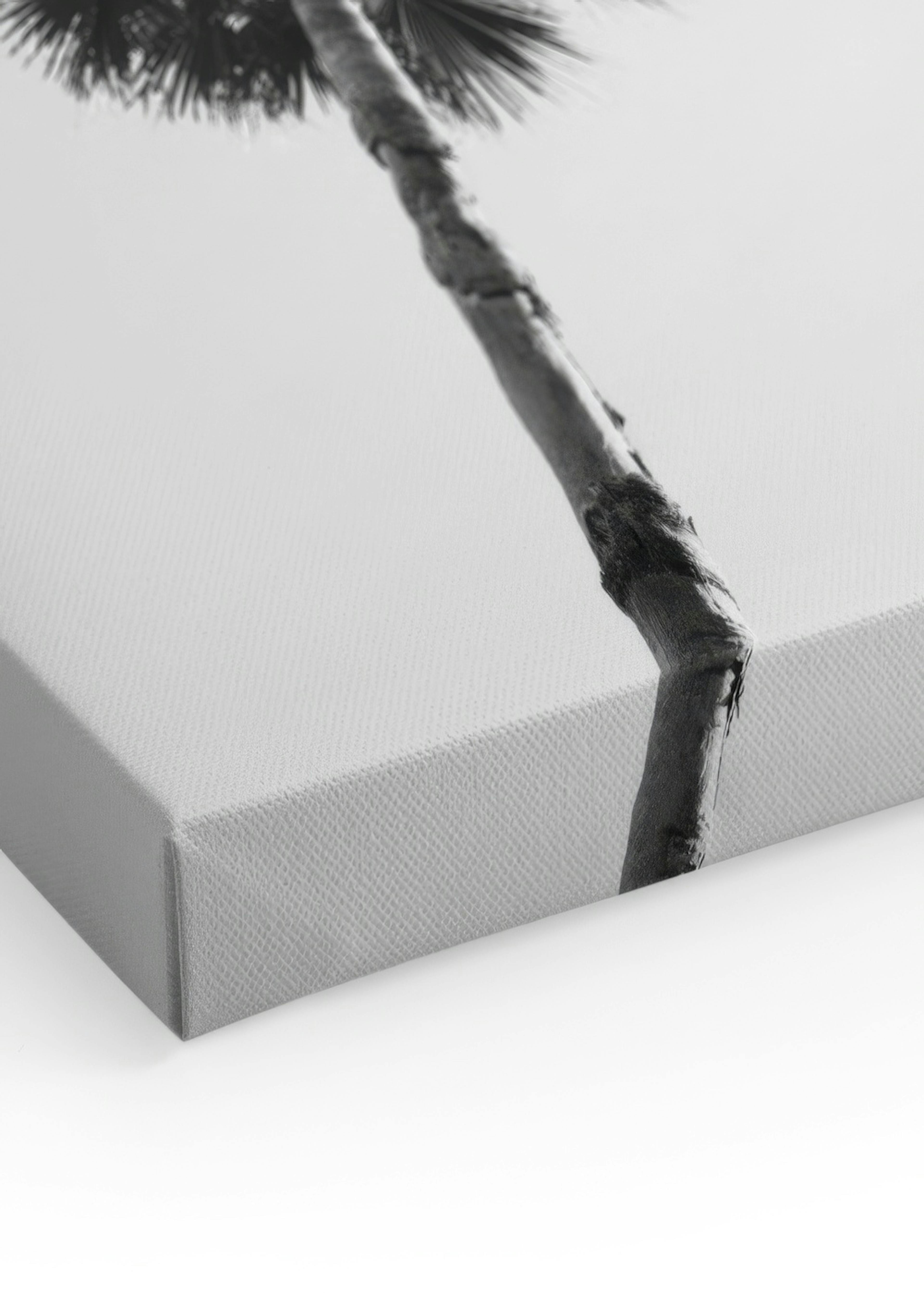 Product image: 3