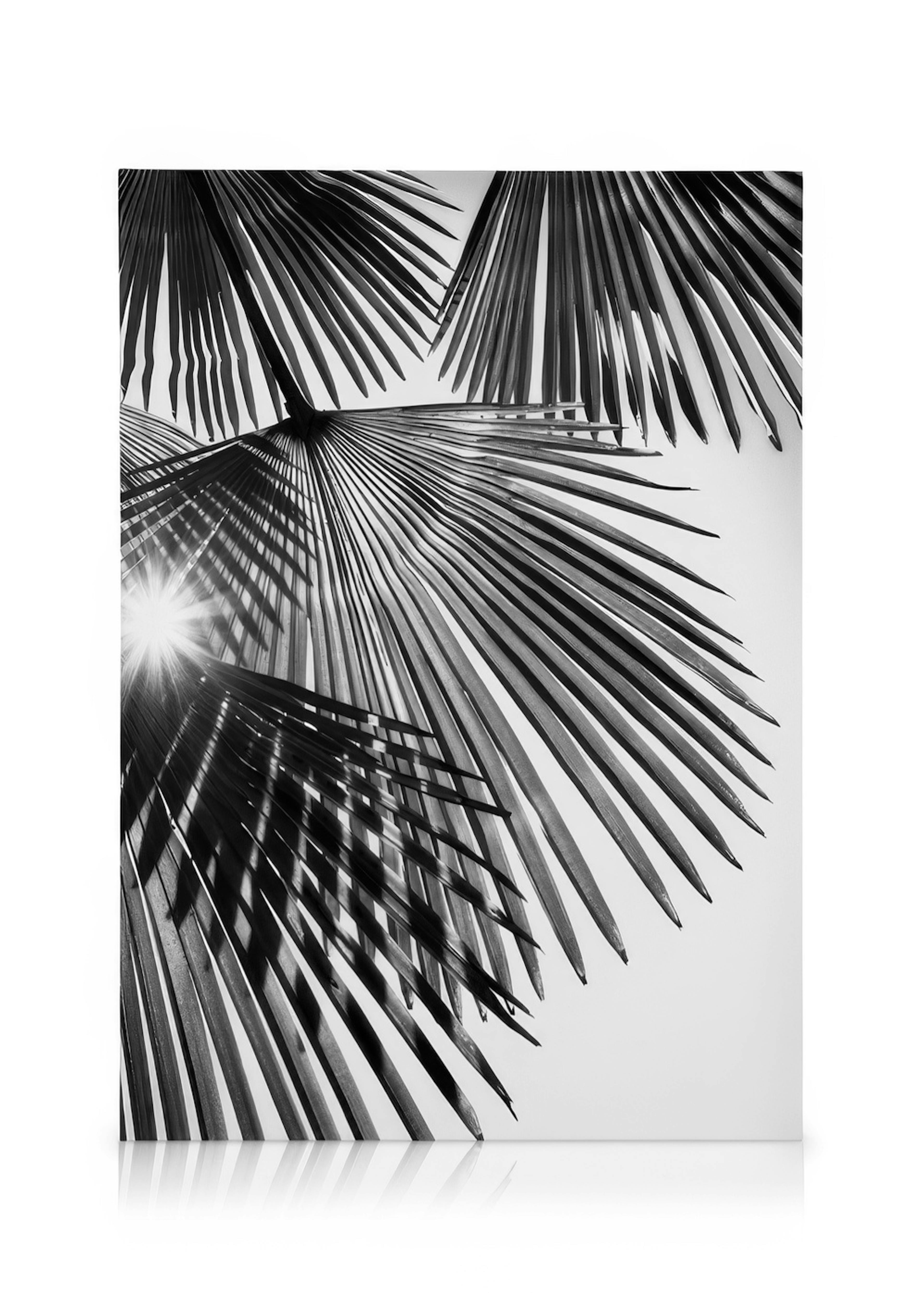 Sunlight Through Palm Leaves Kanvaasi 0
