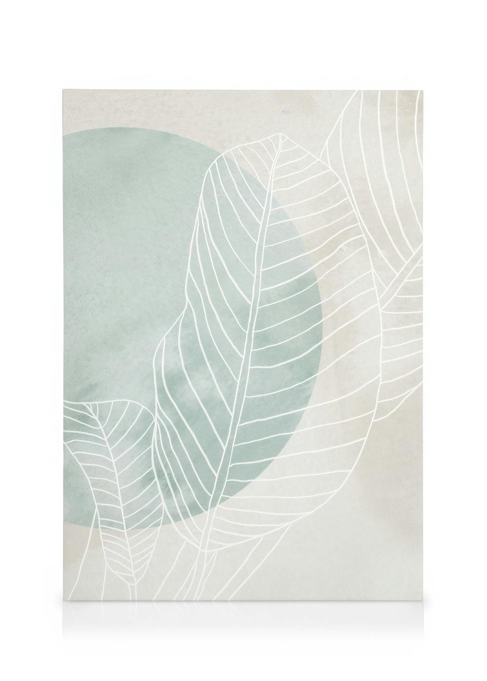 Stampa su tela con due foglie di ficus bianche delineate, sovrapposte a cerchi verde acqua e beige acquerello.