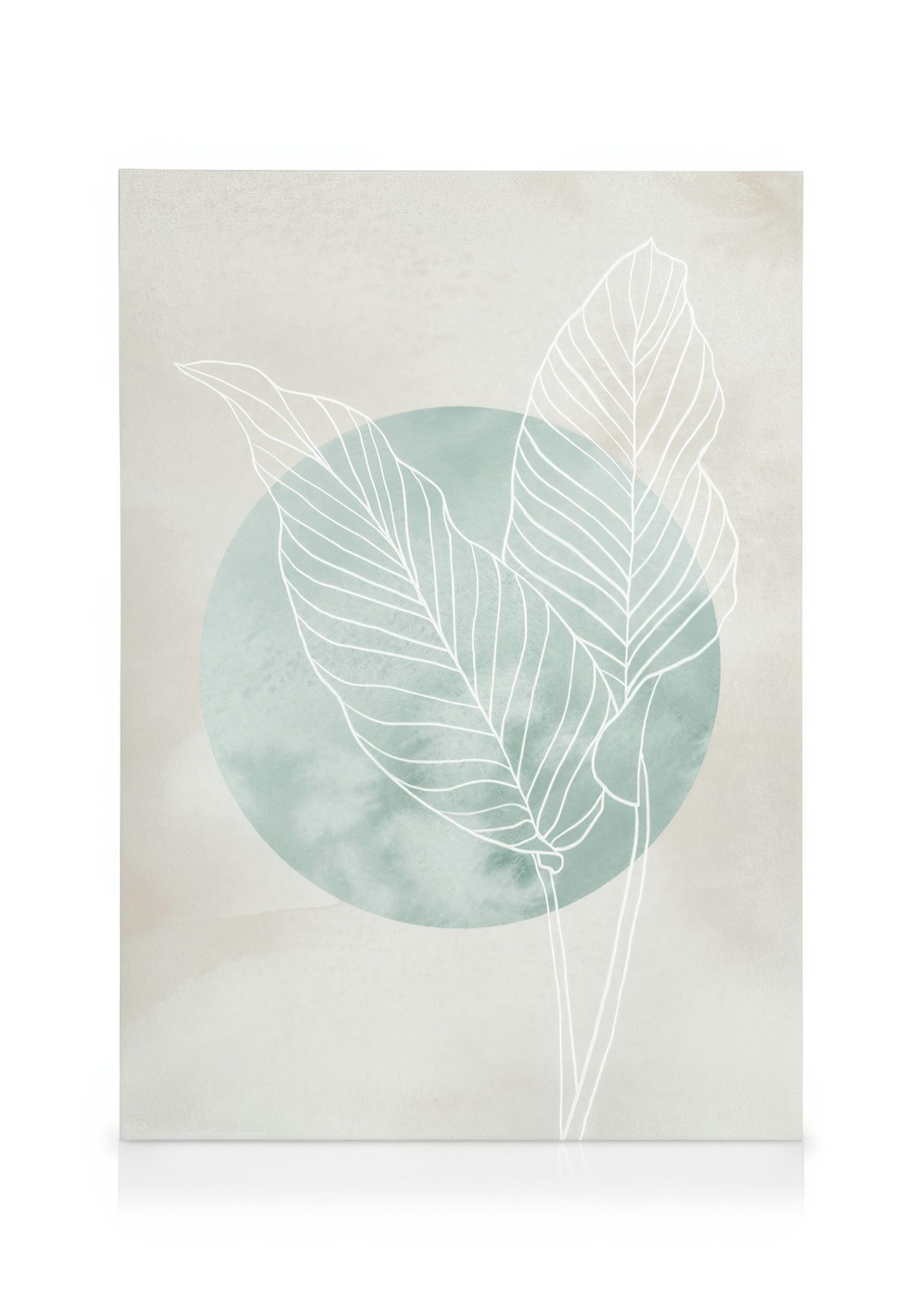 Calathea Line Drawing Καμβάς 0