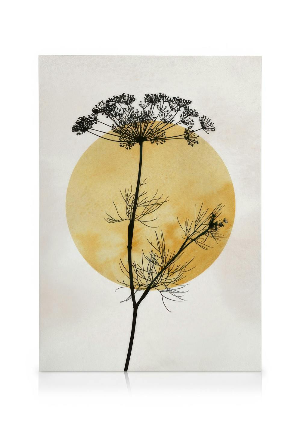 Telas decorativas Anthriscus Silhouette Tela (30x40 cm - Moldura de Carvalho)
