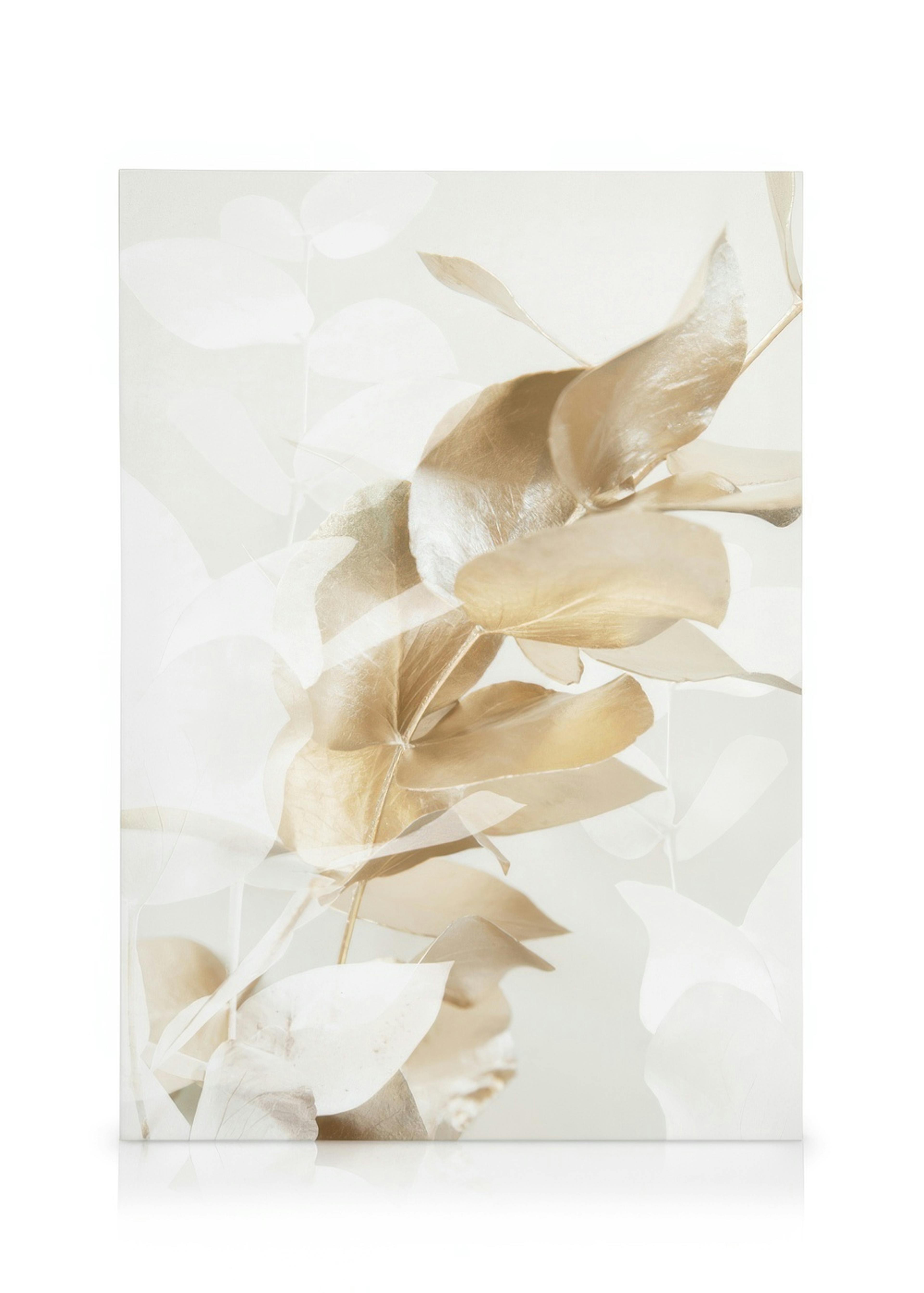 Golden Eucalyptus No1 Καμβάς 0