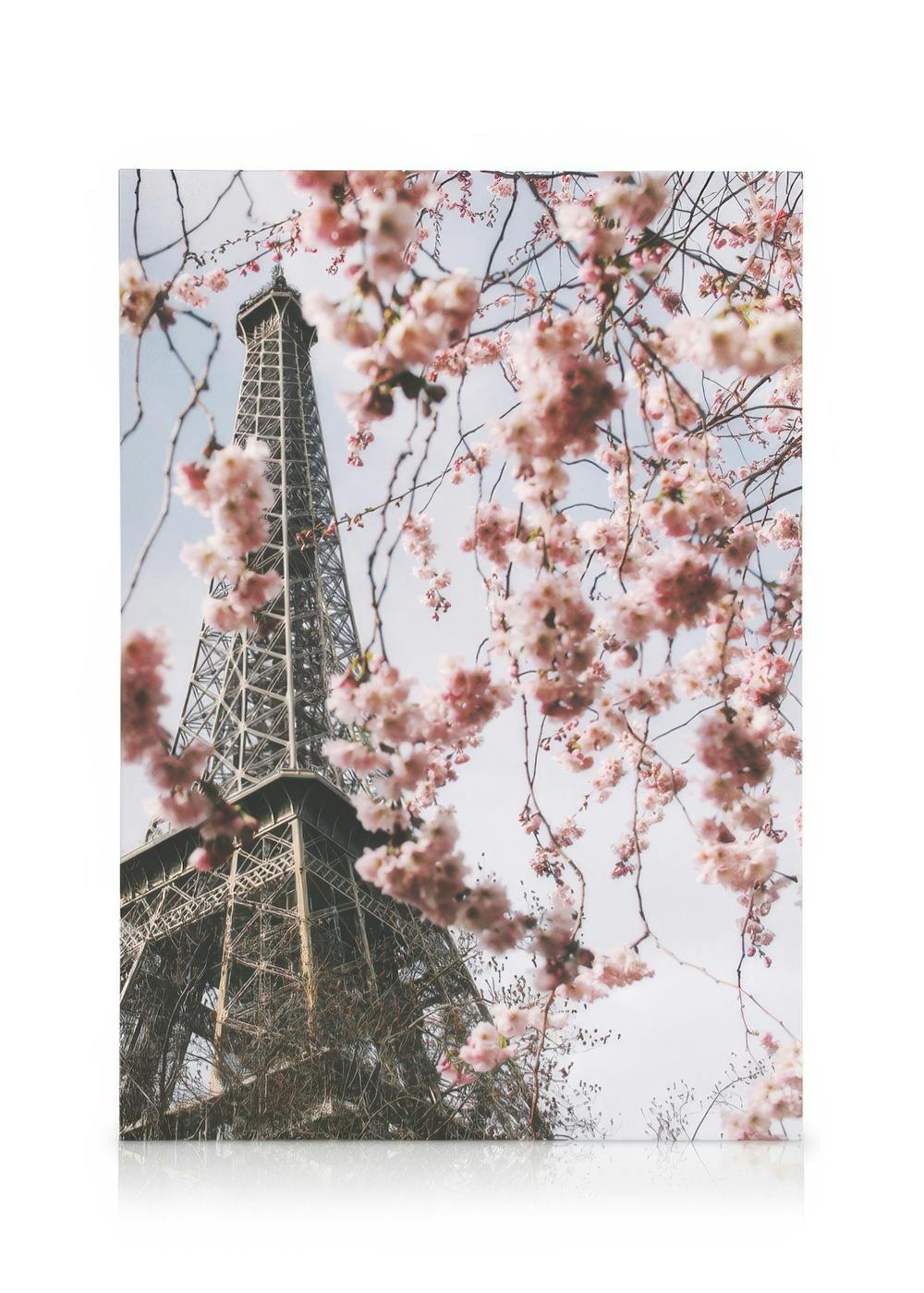 Telas decorativas Blooming Paris Tela (50x70 cm)