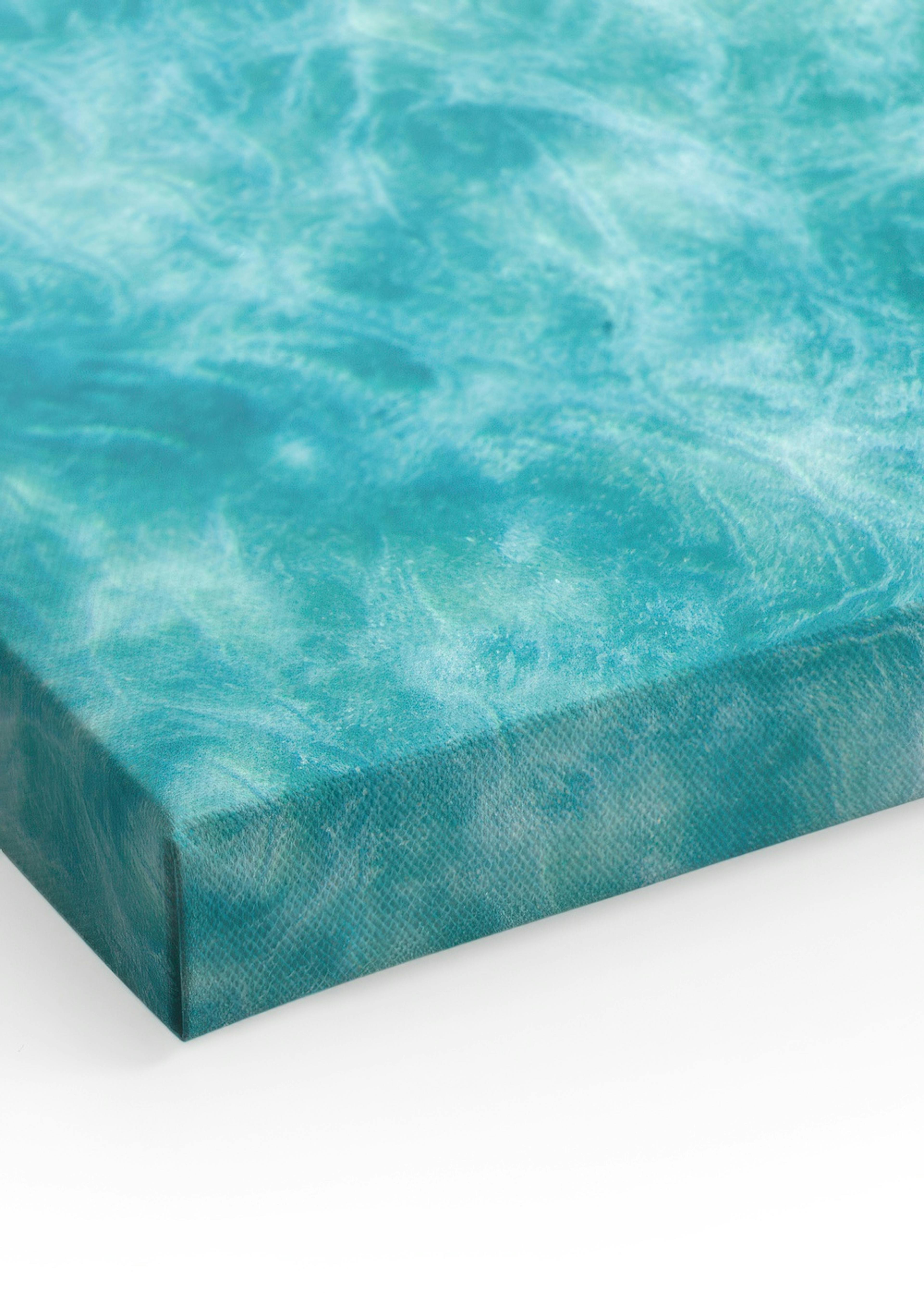 Green Sea Turtle Canvas print