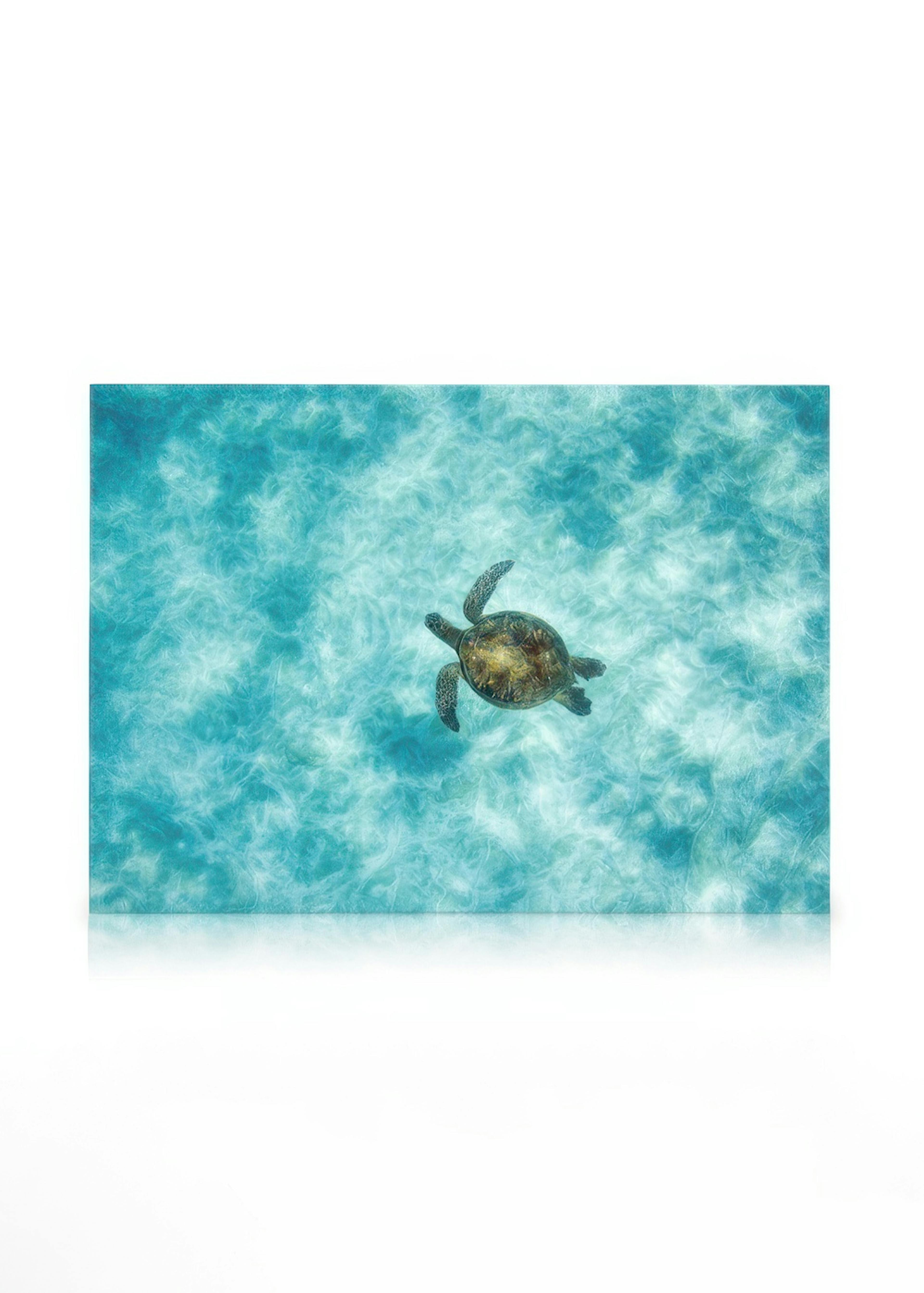 Green Sea Turtle Toile 0