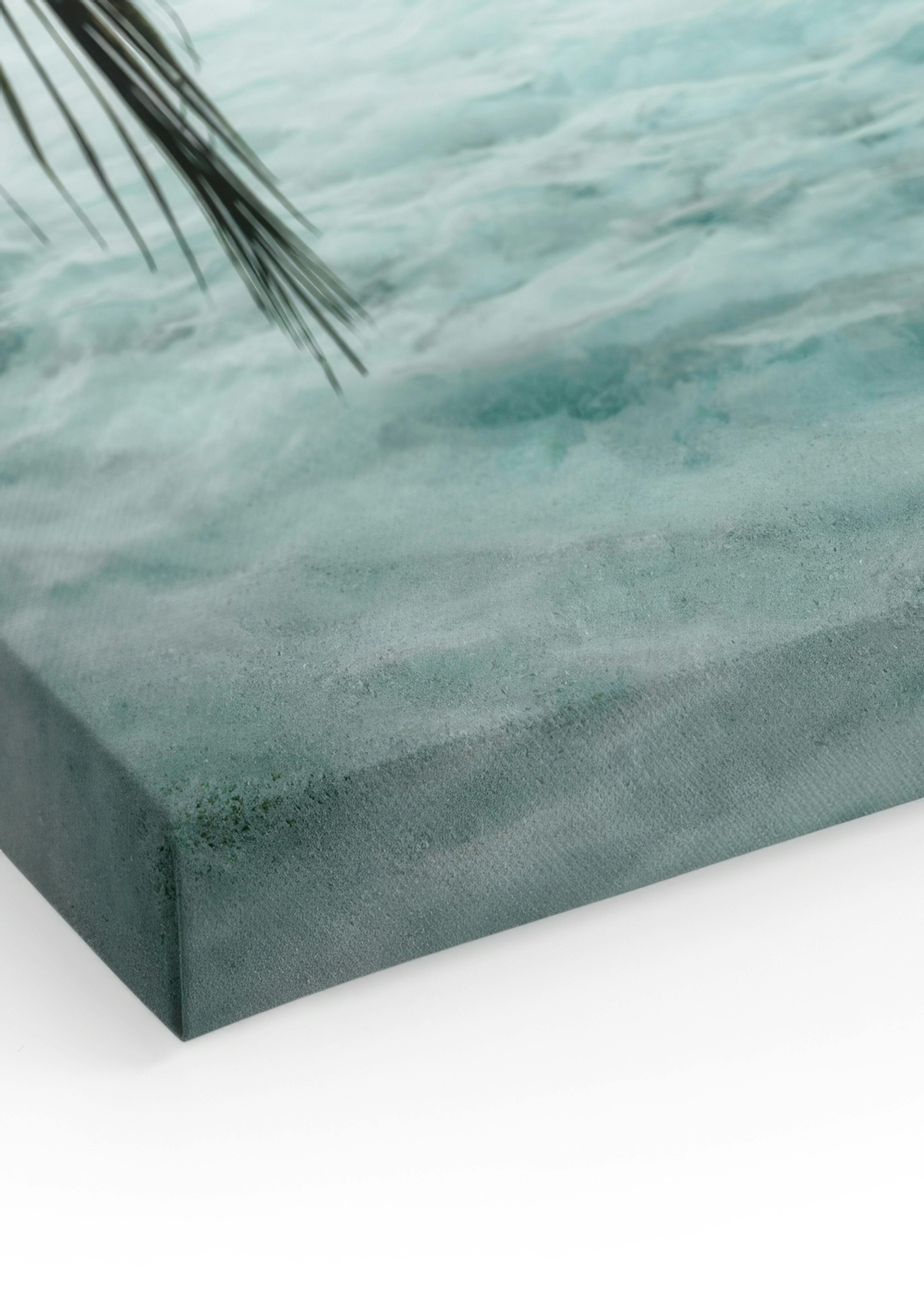 Ocean Palm Lienzo
