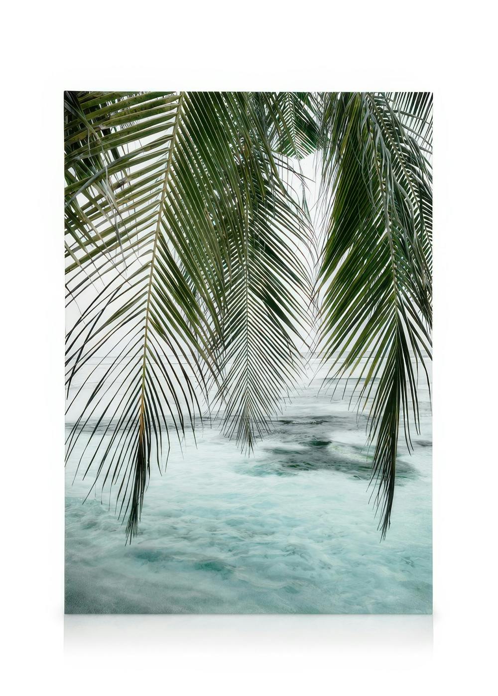 Canvas Prints Ocean Palm Canvas print (50x70 cm - Oak Frame)